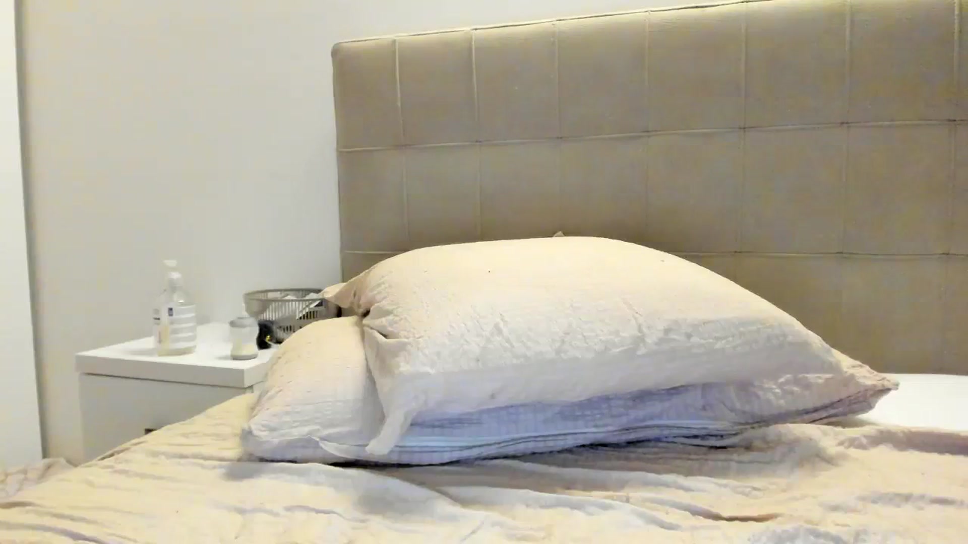 Gallery image thumbnail from SashaLopez's myfreecams stream on, 07/23/2023, 21:29 image 10 of 20