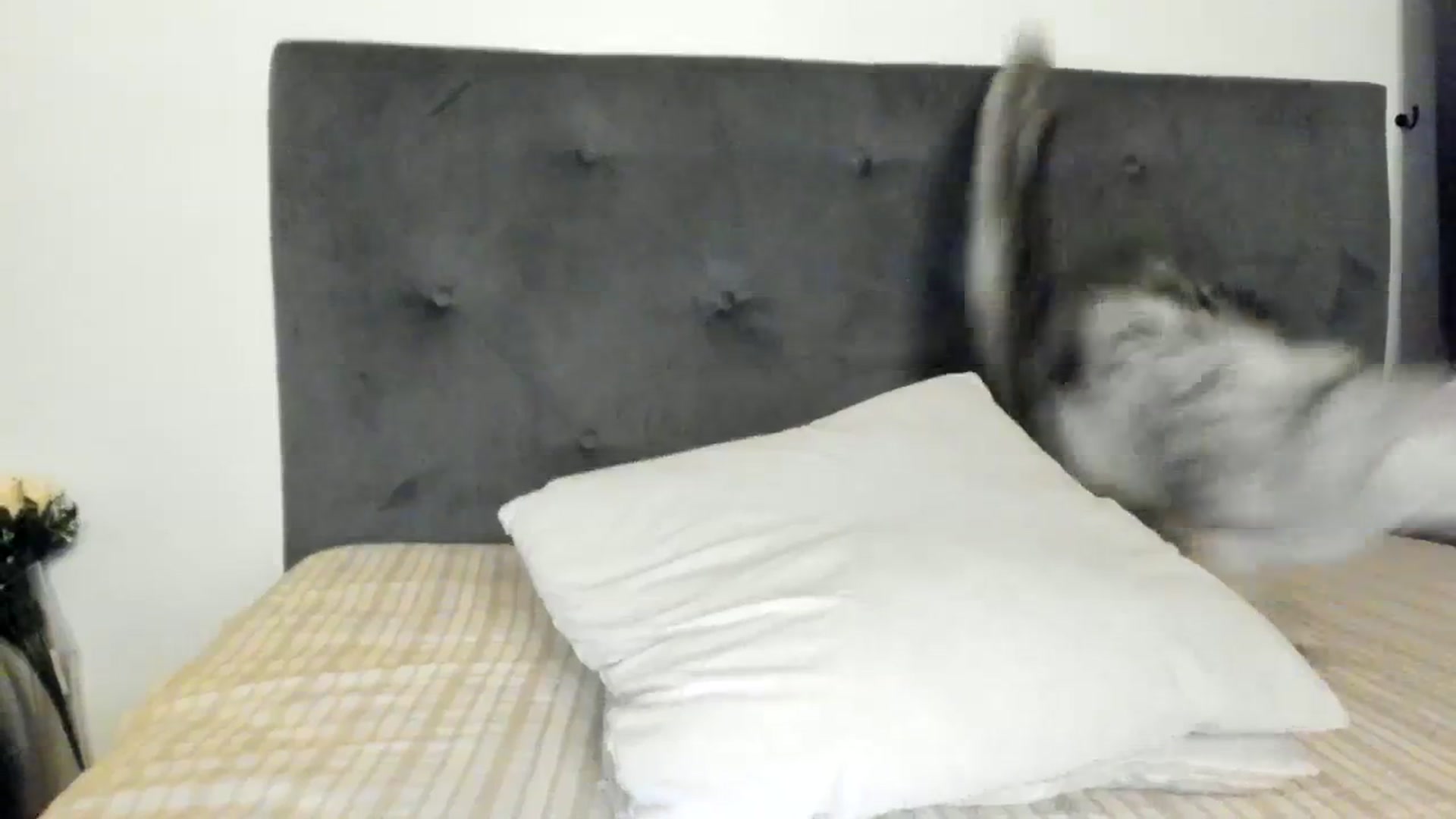 Gallery image thumbnail from SashaLopez's myfreecams stream on, 08/04/2023, 20:17 image 14 of 20