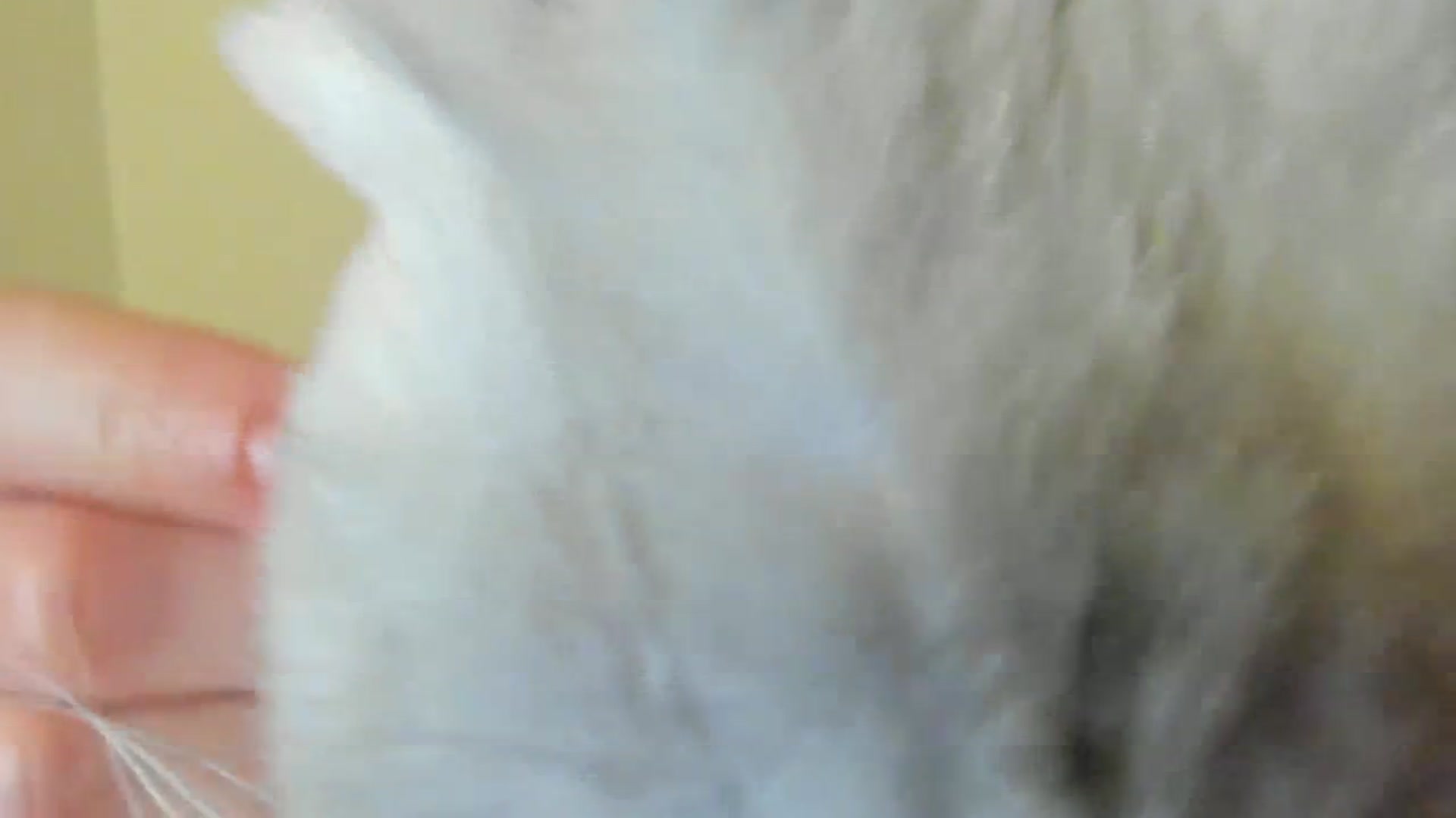 Gallery image thumbnail from SashaLopez's myfreecams stream on, 09/01/2023, 22:56 image 3 of 20