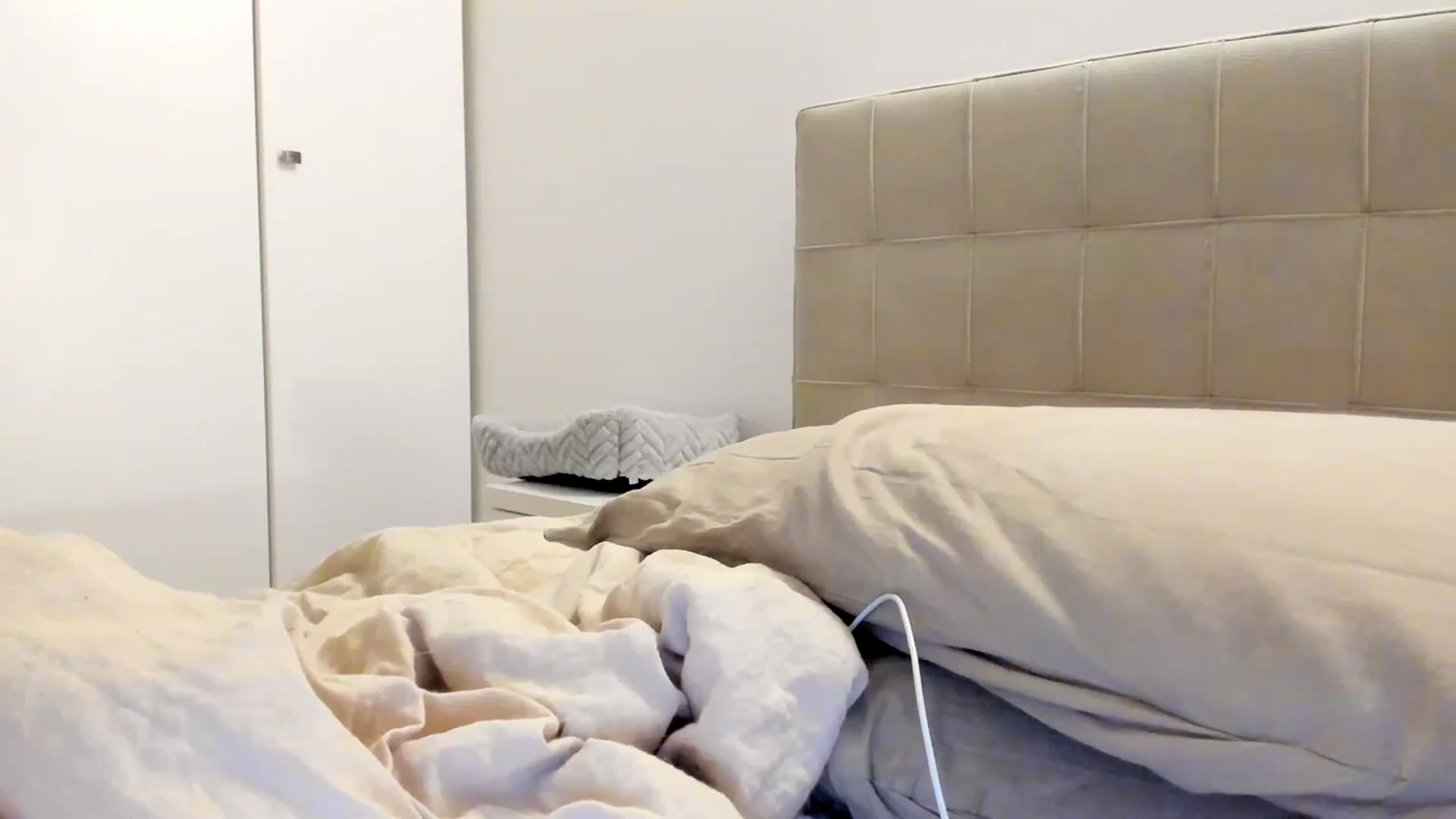 Gallery image thumbnail from SashaLopez's myfreecams stream on, 10/06/2023, 21:46 image 19 of 20
