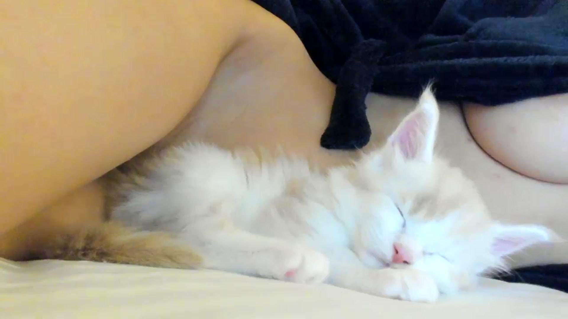 Gallery image thumbnail from SashaLopez's myfreecams stream on, 12/12/2023, 23:50 image 6 of 20