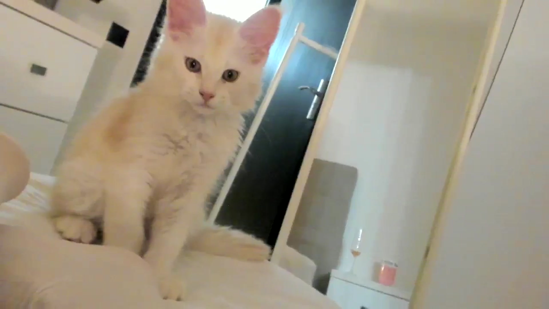 Gallery image thumbnail from SashaLopez's myfreecams stream on, 01/26/2024, 22:18 image 8 of 20