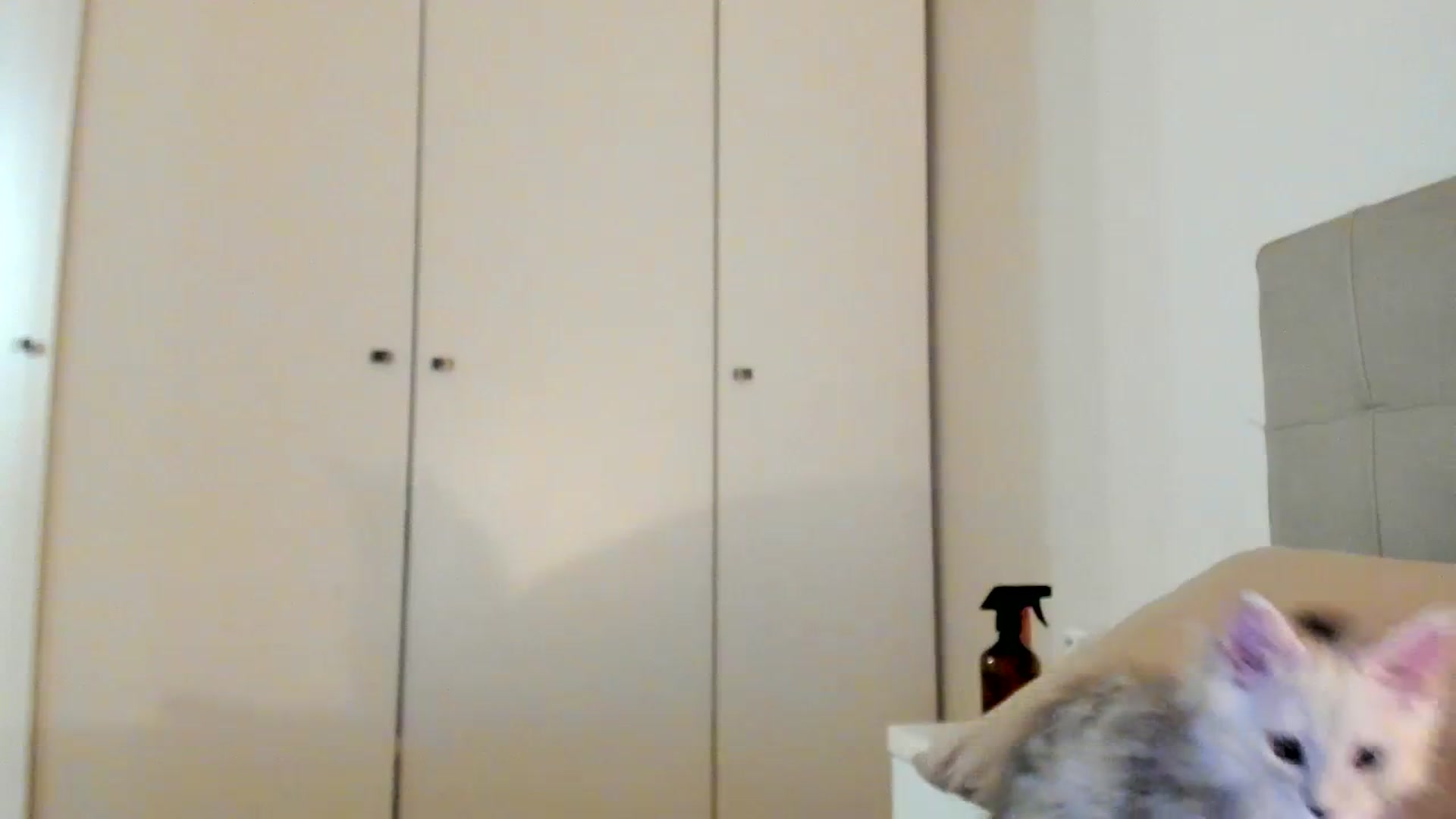 Gallery image thumbnail from SashaLopez's myfreecams stream on, 02/01/2024, 21:32 image 11 of 20