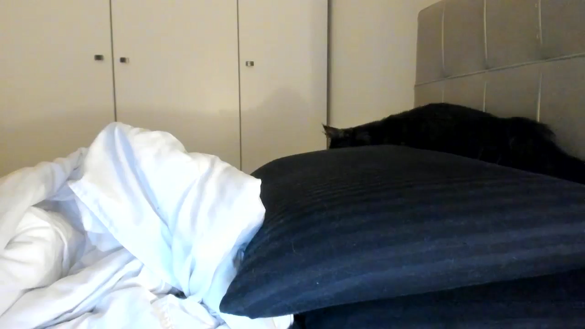 Gallery image thumbnail from SashaLopez's myfreecams stream on, 02/12/2024, 20:18 image 12 of 20