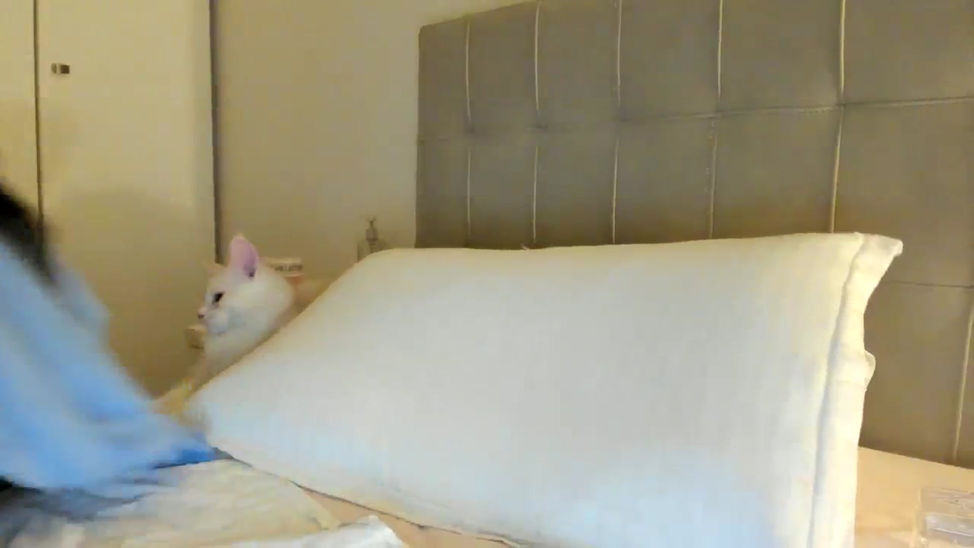 Gallery image thumbnail from SashaLopez's myfreecams stream on, 03/04/2024, 22:07 image 19 of 20