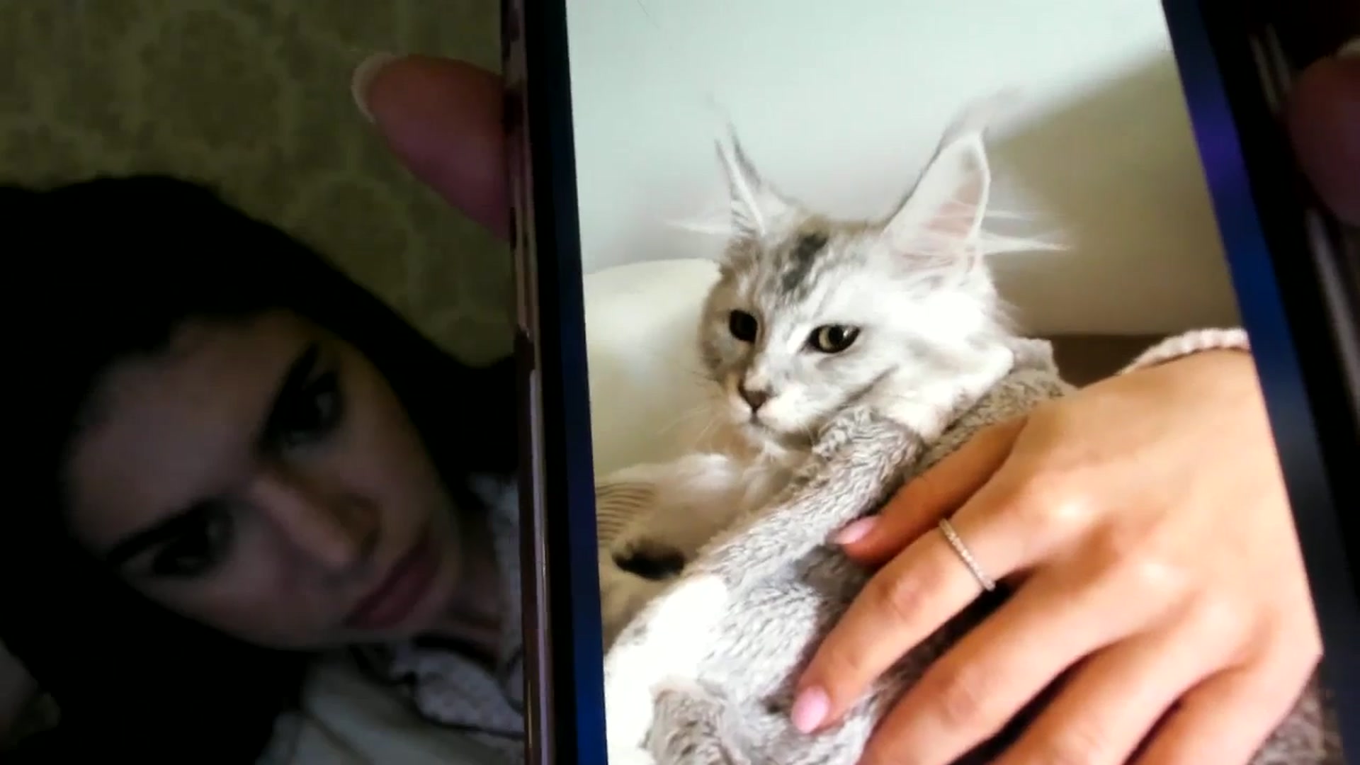 Gallery image thumbnail from SashaLopez's myfreecams stream on, 04/06/2024, 22:46 image 13 of 20