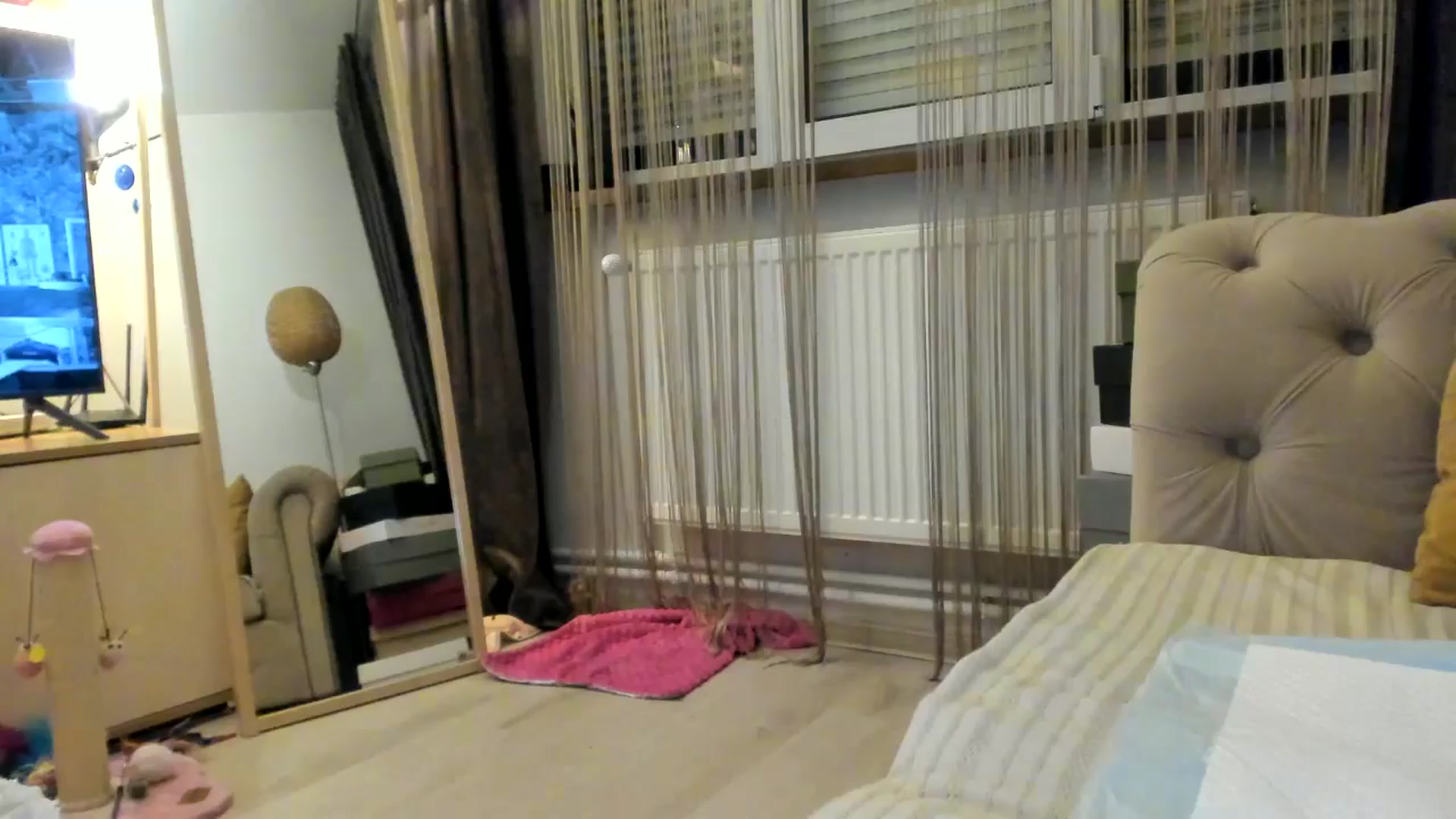 Gallery image thumbnail from SashaLopez's myfreecams stream on, 04/22/2024, 20:45 image 1 of 20
