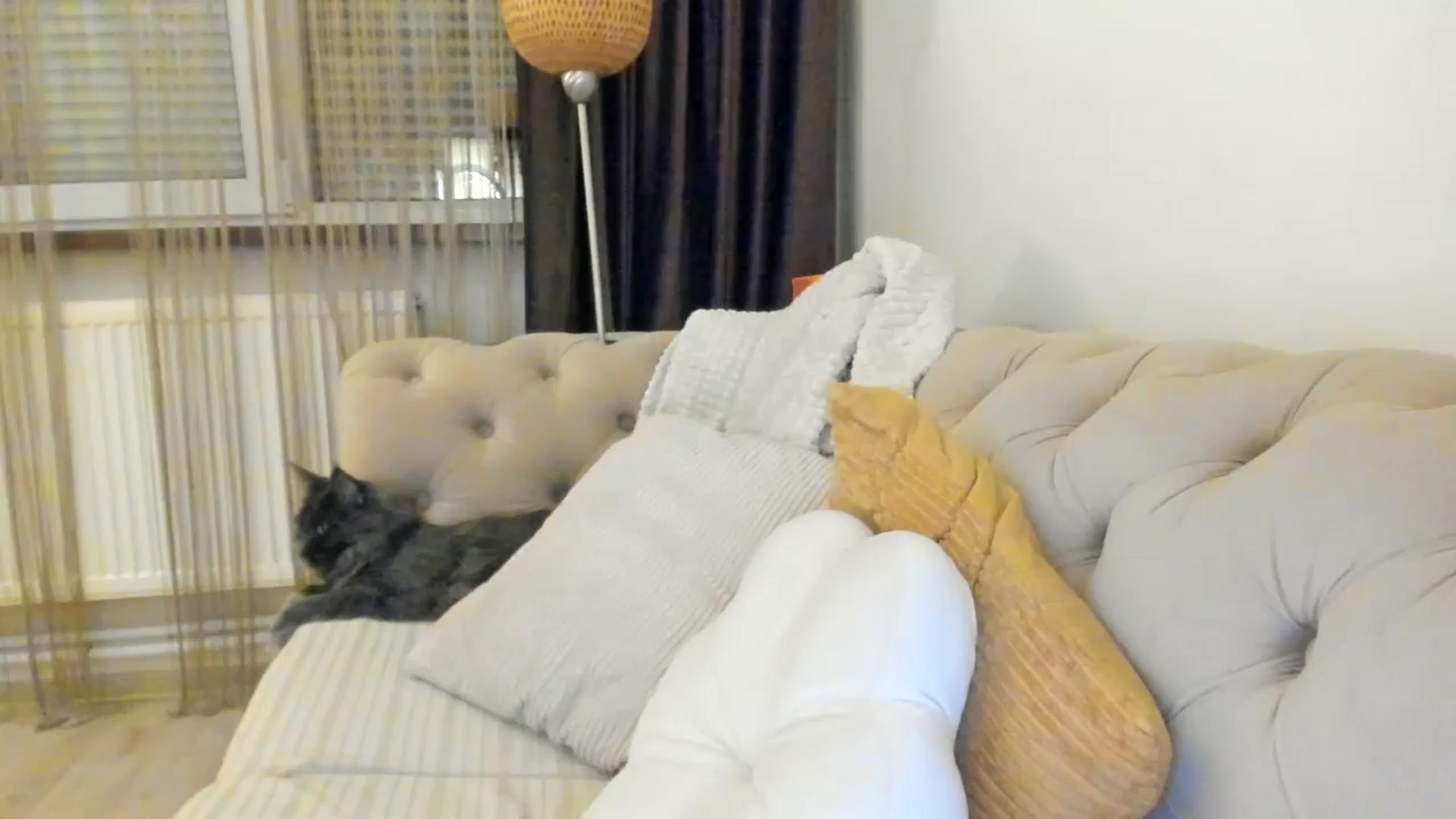 Gallery image thumbnail from SashaLopez's myfreecams stream on, 04/28/2024, 23:19 image 5 of 20