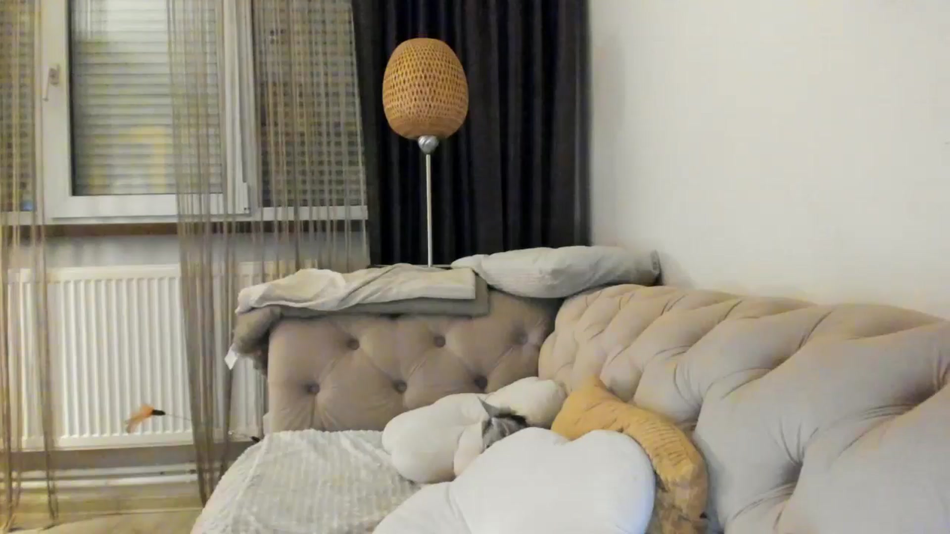 Gallery image thumbnail from SashaLopez's myfreecams stream on, 05/29/2024, 23:05 image 2 of 20