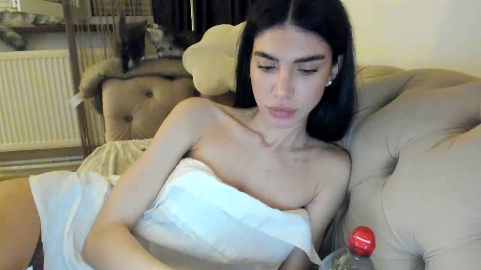 Gallery image thumbnail from SashaLopez's myfreecams stream on, 06/02/2024, 22:55 image 17 of 20