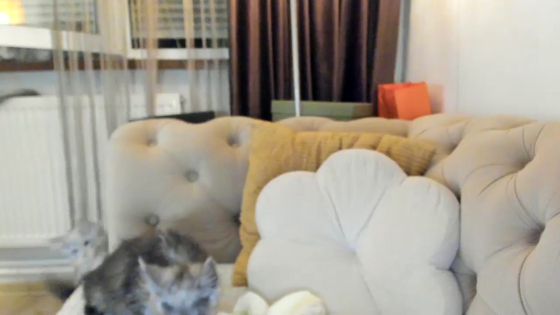 Gallery image thumbnail from SashaLopez's myfreecams stream on, 07/17/2024, 23:35 image 4 of 20