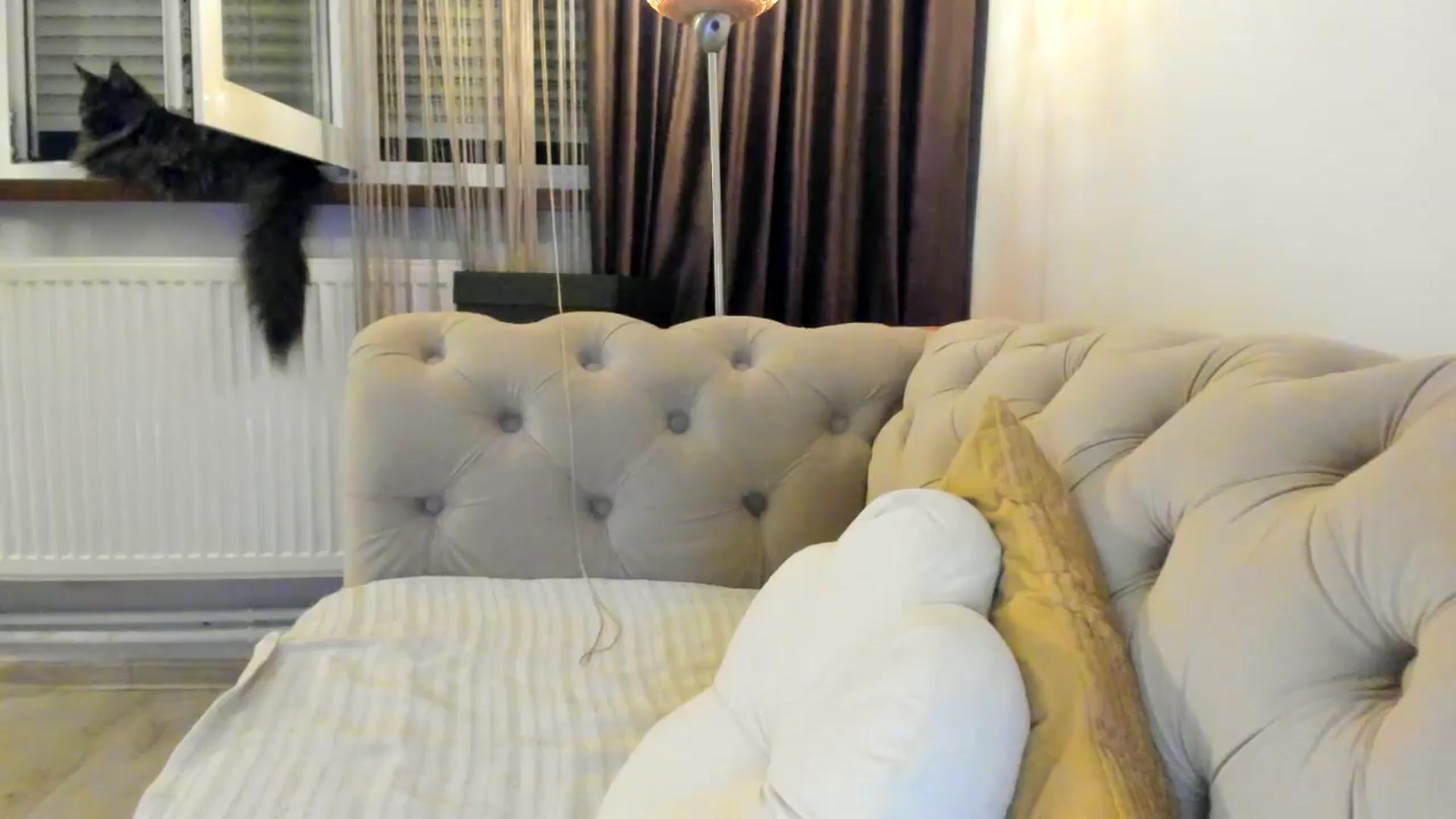 Gallery image thumbnail from SashaLopez's myfreecams stream on, 07/26/2024, 23:21 image 19 of 20