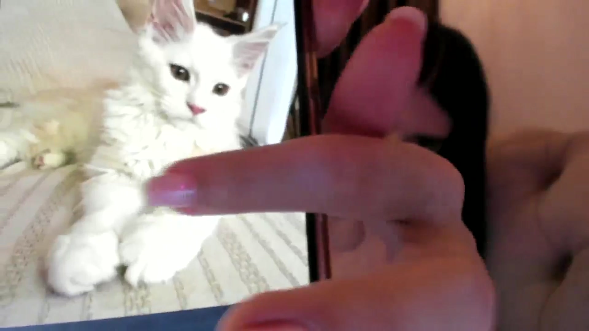 Gallery image thumbnail from SashaLopez's myfreecams stream on, 07/29/2024, 21:40 image 5 of 20