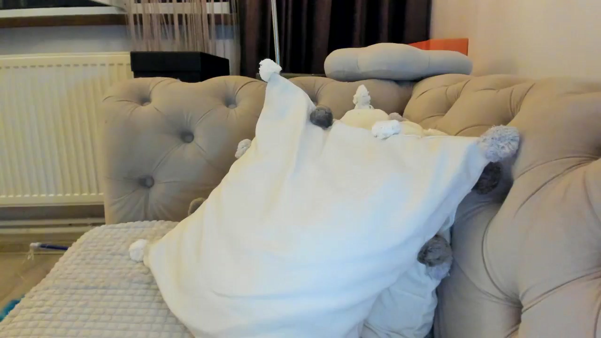 Gallery image thumbnail from SashaLopez's myfreecams stream on, 08/25/2024, 23:12 image 5 of 20
