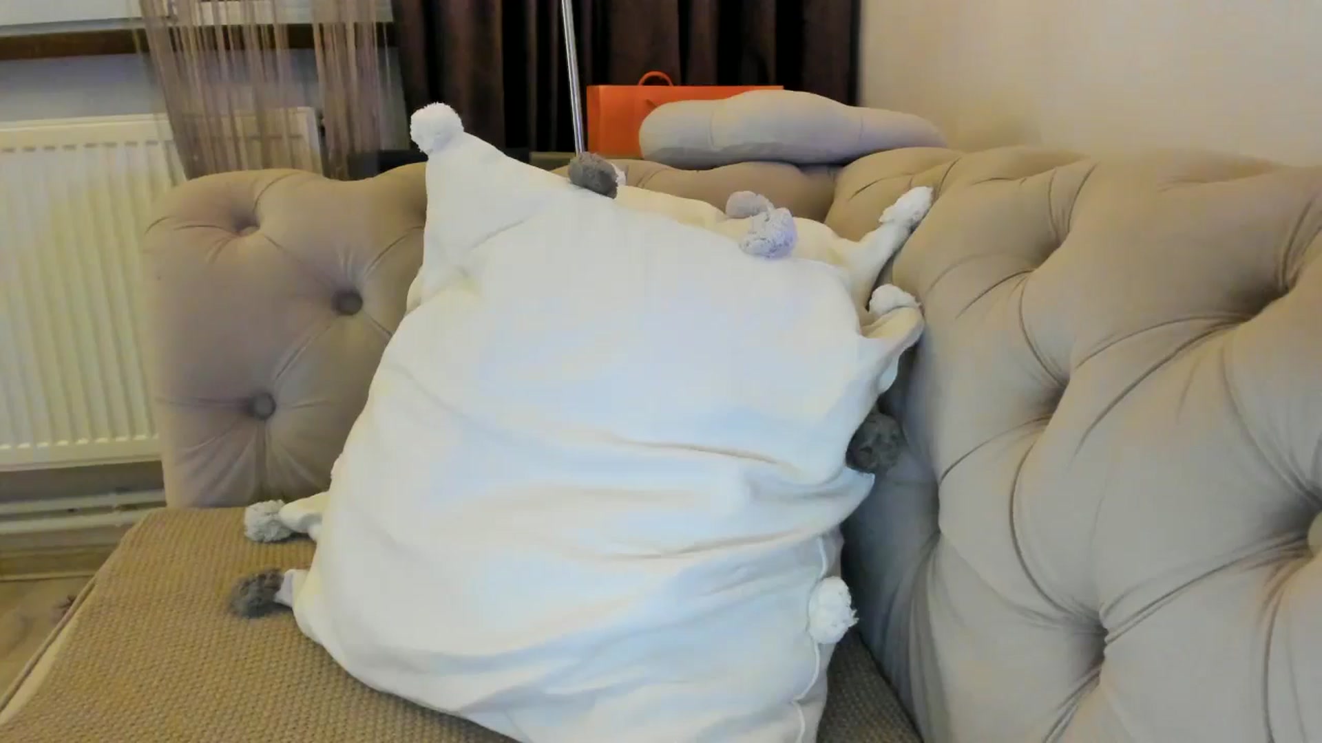 Gallery image thumbnail from SashaLopez's myfreecams stream on, 09/13/2024, 19:59 image 3 of 20