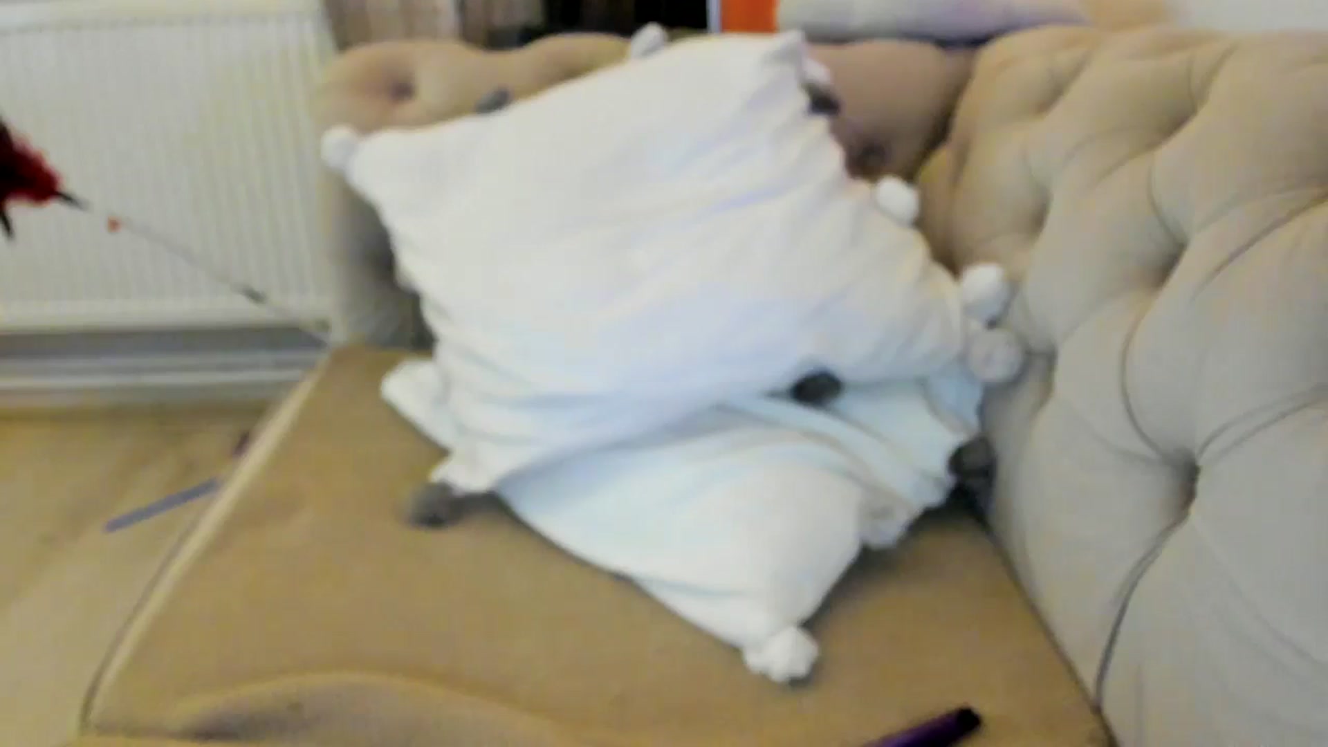 Gallery image thumbnail from SashaLopez's myfreecams stream on, 09/13/2024, 19:59 image 19 of 20