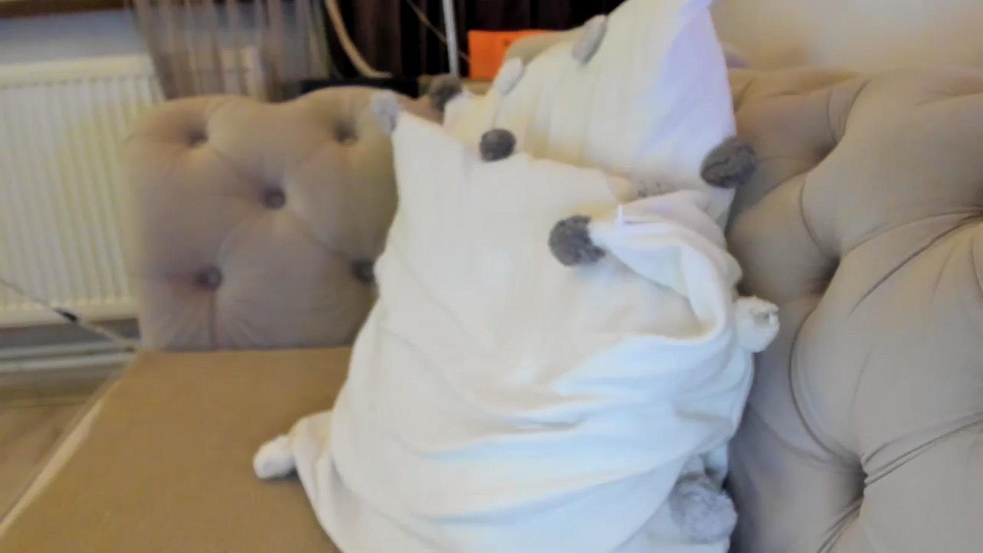 Gallery image thumbnail from SashaLopez's myfreecams stream on, 09/13/2024, 22:54 image 3 of 20