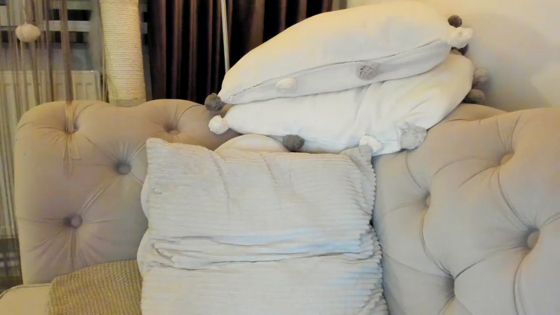 Gallery image thumbnail from SashaLopez's myfreecams stream on, 10/13/2024, 22:13 image 20 of 20