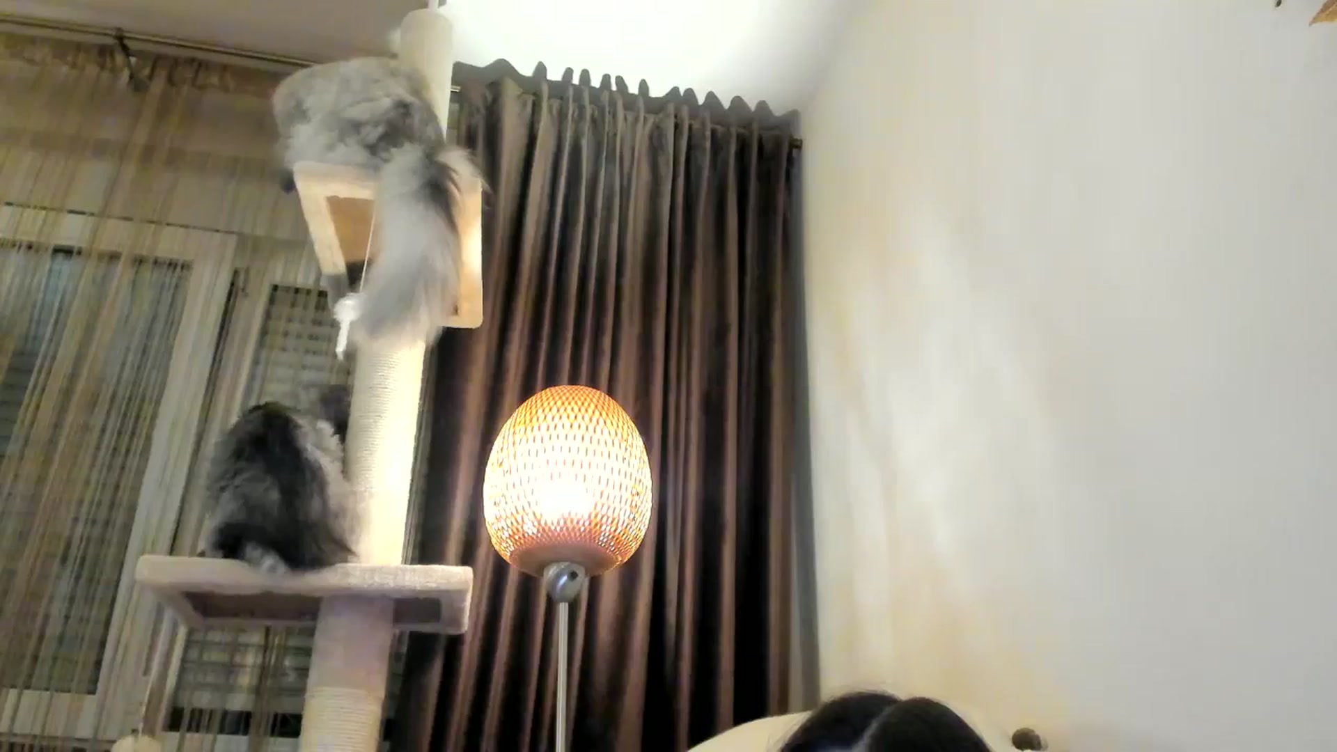 Gallery image thumbnail from SashaLopez's myfreecams stream on, 10/13/2024, 22:13 image 19 of 20