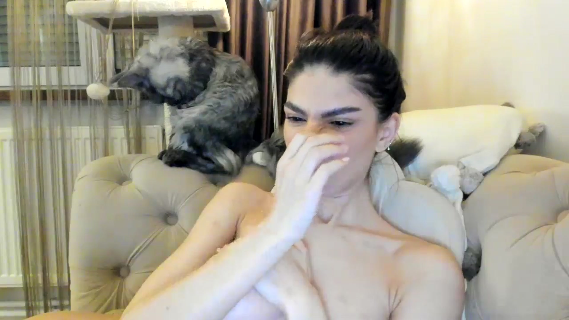 Gallery image thumbnail from SashaLopez's myfreecams stream on, 10/15/2024, 21:37 image 4 of 20