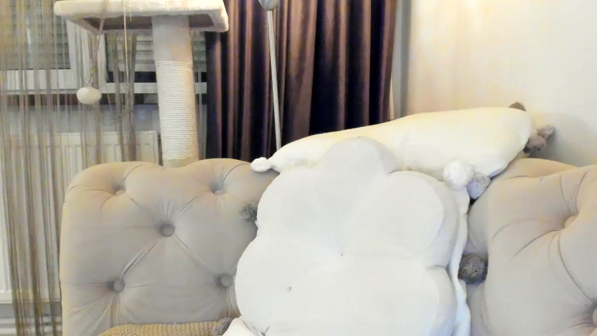 Gallery image thumbnail from SashaLopez's myfreecams stream on, 10/15/2024, 21:37 image 18 of 20