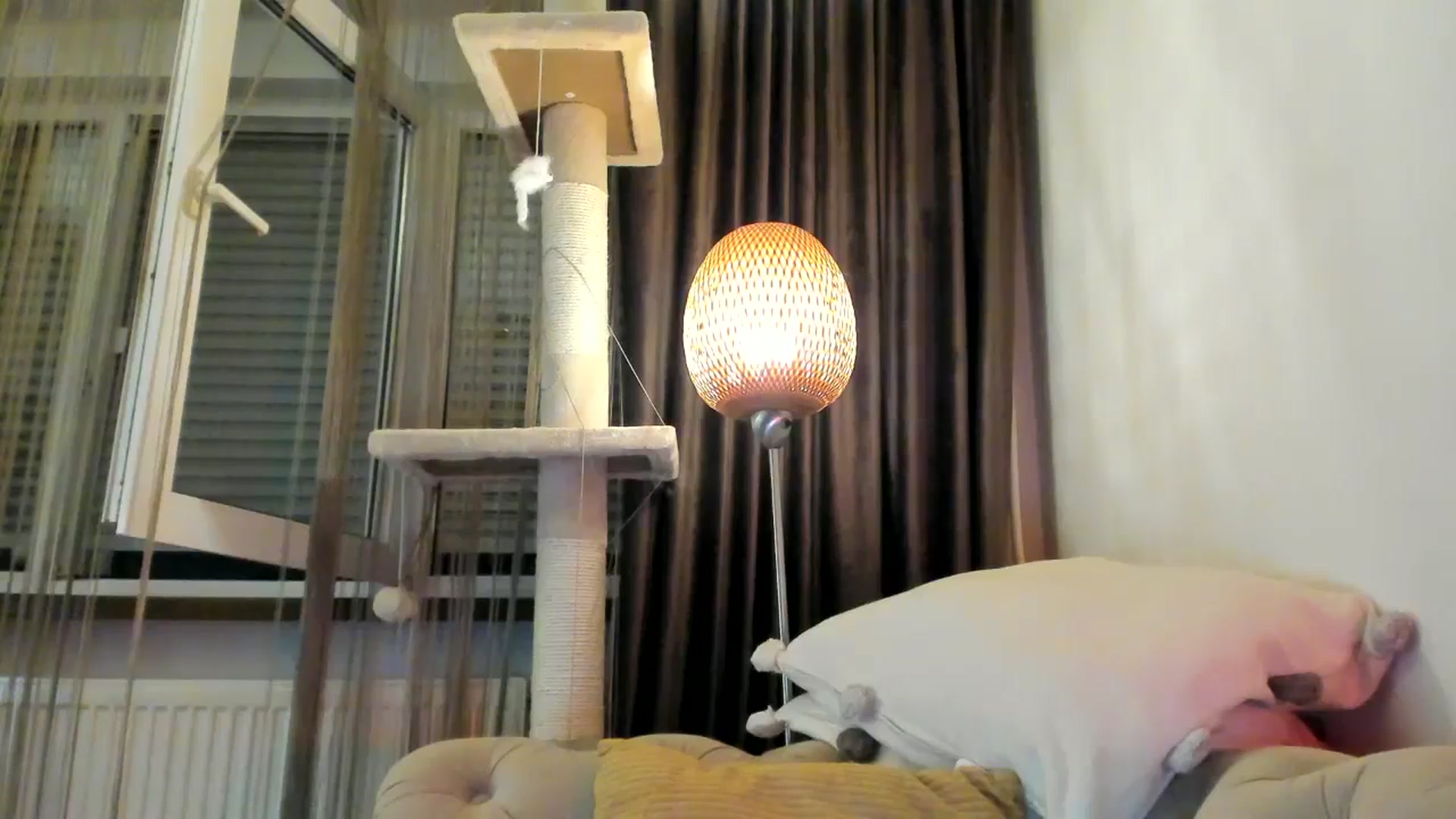 Gallery image thumbnail from SashaLopez's myfreecams stream on, 10/20/2024, 21:50 image 20 of 20