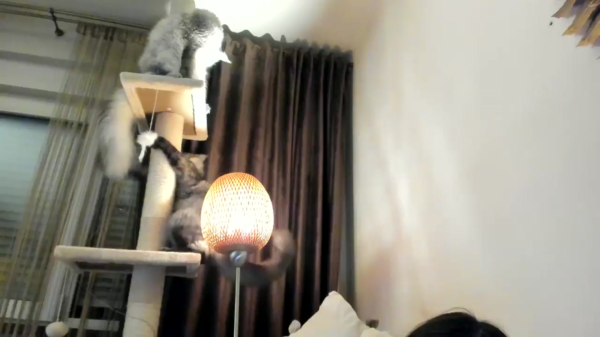 Gallery image thumbnail from SashaLopez's myfreecams stream on, 10/26/2024, 23:12 image 14 of 20