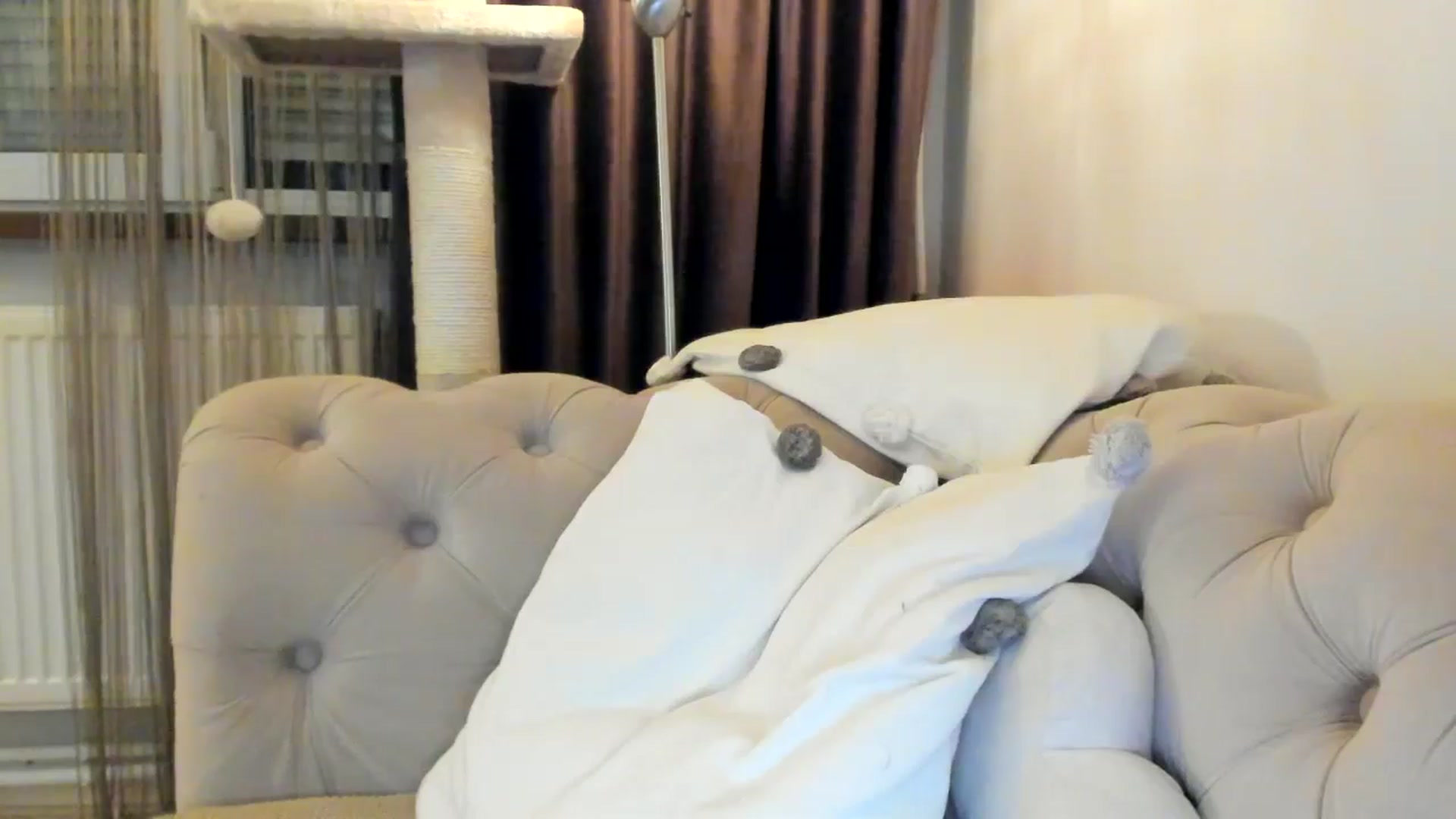 Gallery image thumbnail from SashaLopez's myfreecams stream on, 10/28/2024, 21:02 image 6 of 20