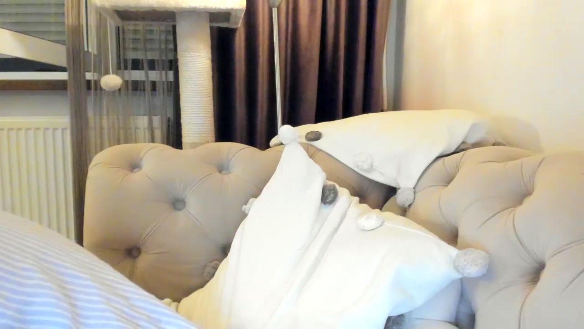 Gallery image thumbnail from SashaLopez's myfreecams stream on, 10/28/2024, 21:52 image 13 of 20