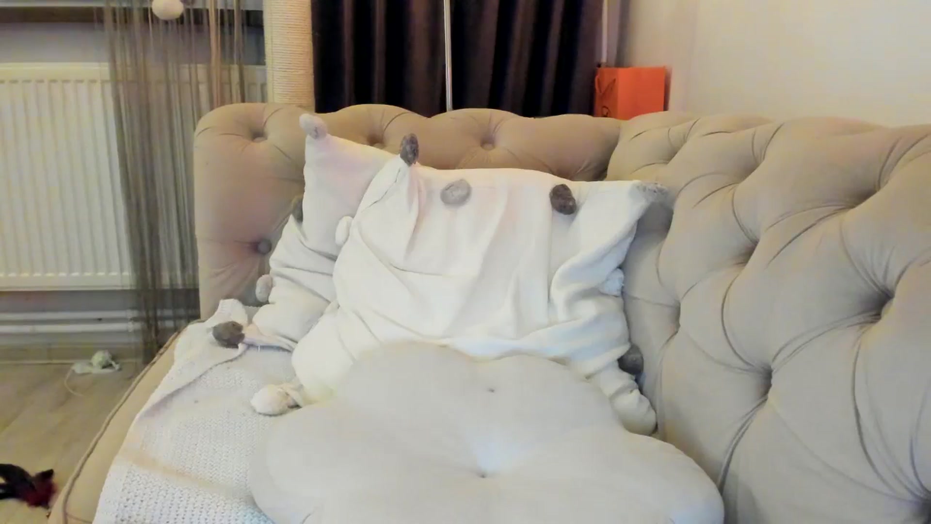 Gallery image thumbnail from SashaLopez's myfreecams stream on, 11/03/2024, 24:37 image 13 of 20
