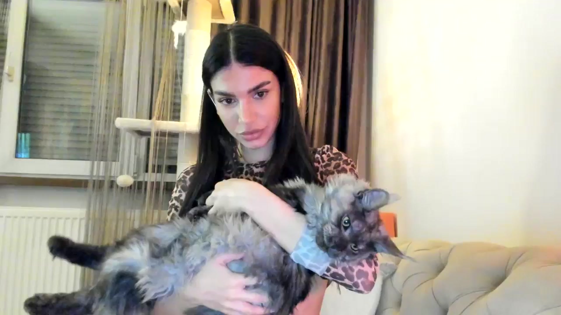 Gallery image thumbnail from SashaLopez's myfreecams stream on, 11/03/2024, 24:37 image 14 of 20