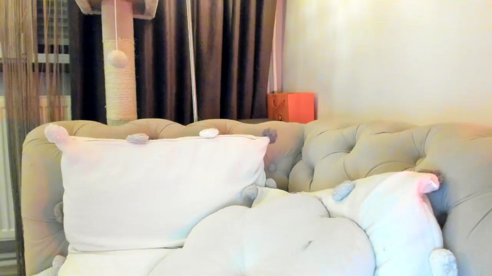 Gallery image thumbnail from SashaLopez's myfreecams stream on, 11/08/2024, 24:02 image 3 of 20