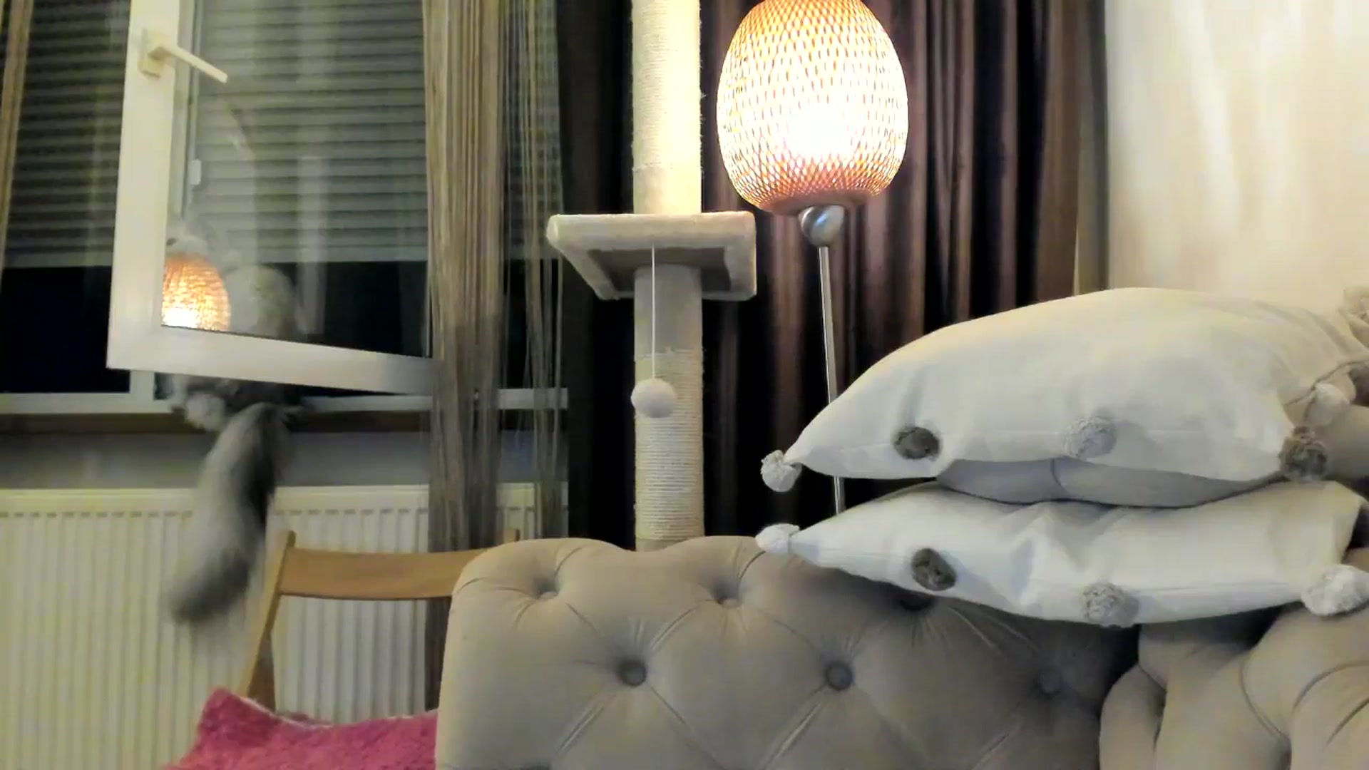 Gallery image thumbnail from SashaLopez's myfreecams stream on, 11/08/2024, 24:31 image 10 of 20