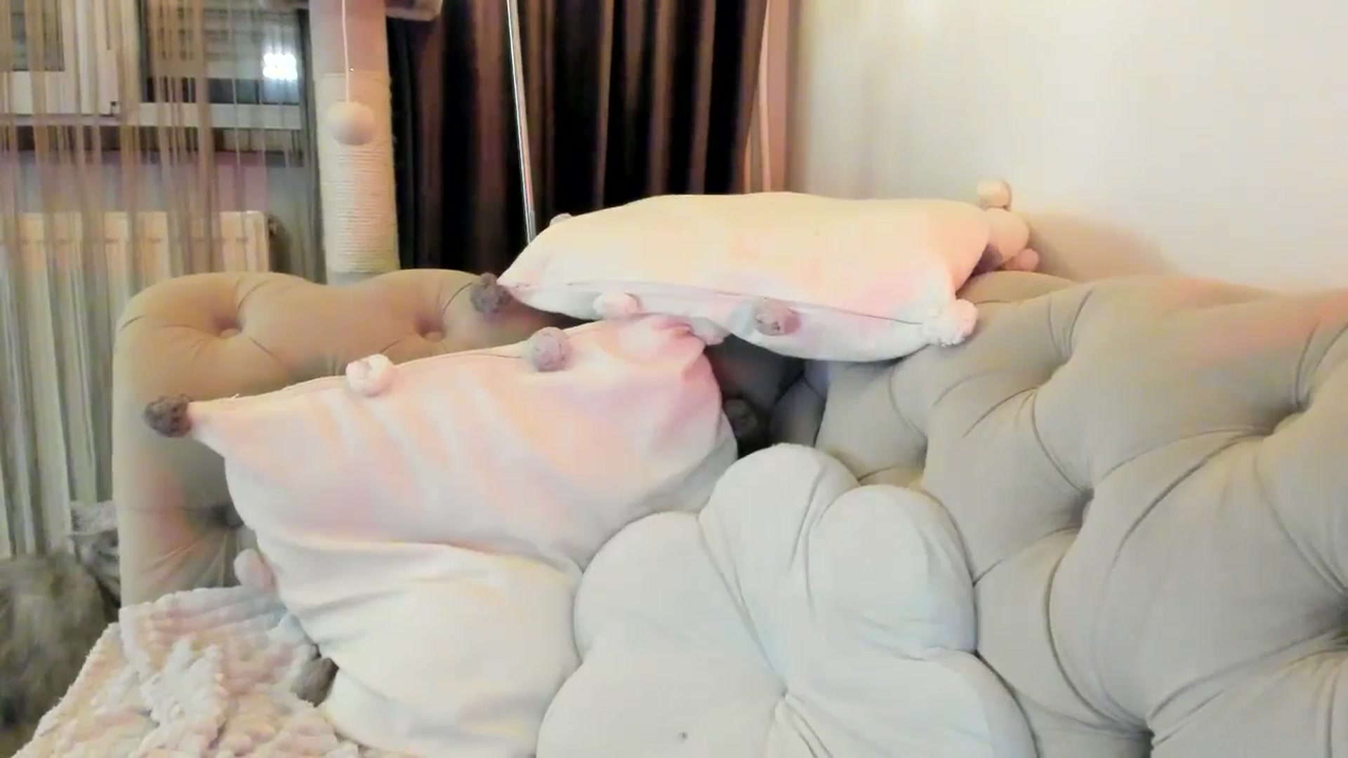 Gallery image thumbnail from SashaLopez's myfreecams stream on, 11/16/2024, 22:55 image 18 of 20