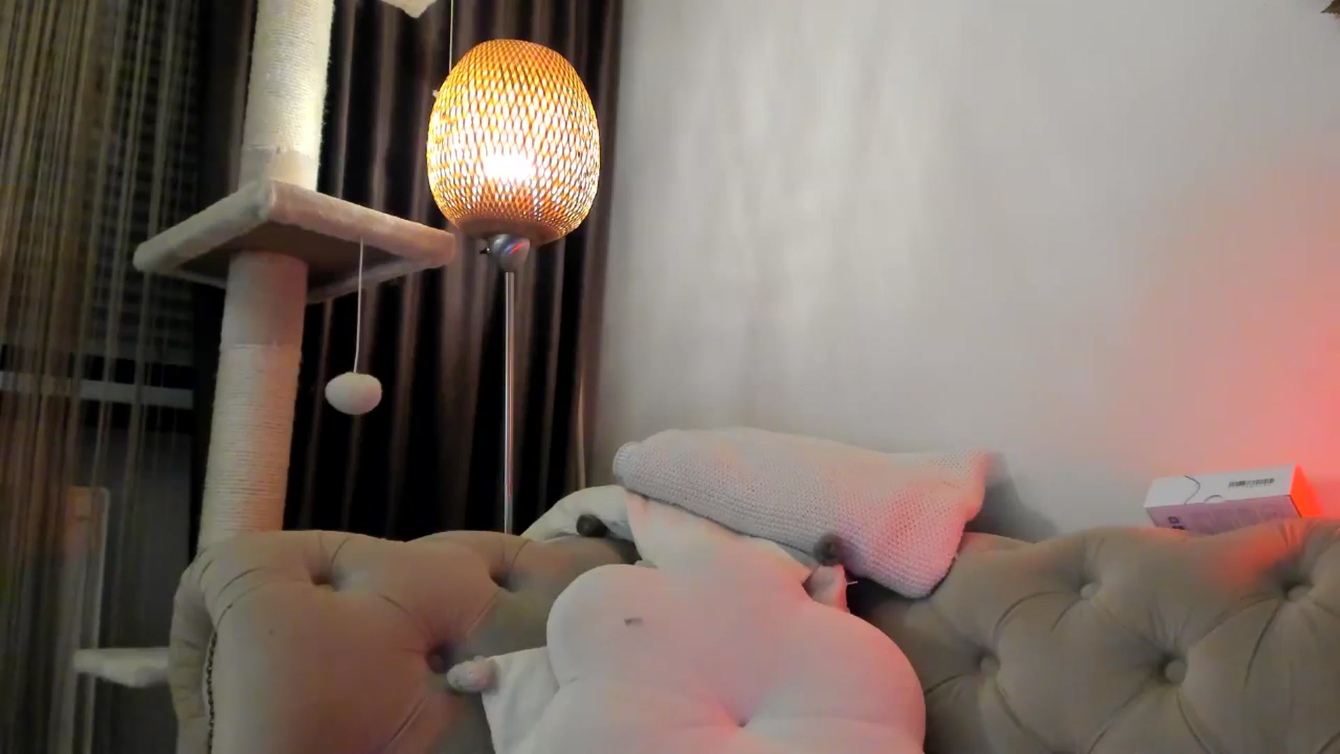 Gallery image thumbnail from SashaLopez's myfreecams stream on, 11/20/2024, 24:10 image 5 of 20