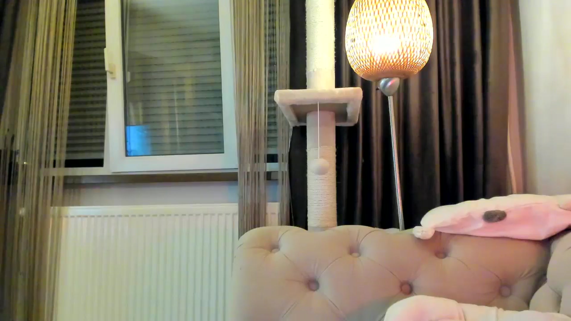 Gallery image thumbnail from SashaLopez's myfreecams stream on, 11/24/2024, 24:00 image 14 of 20