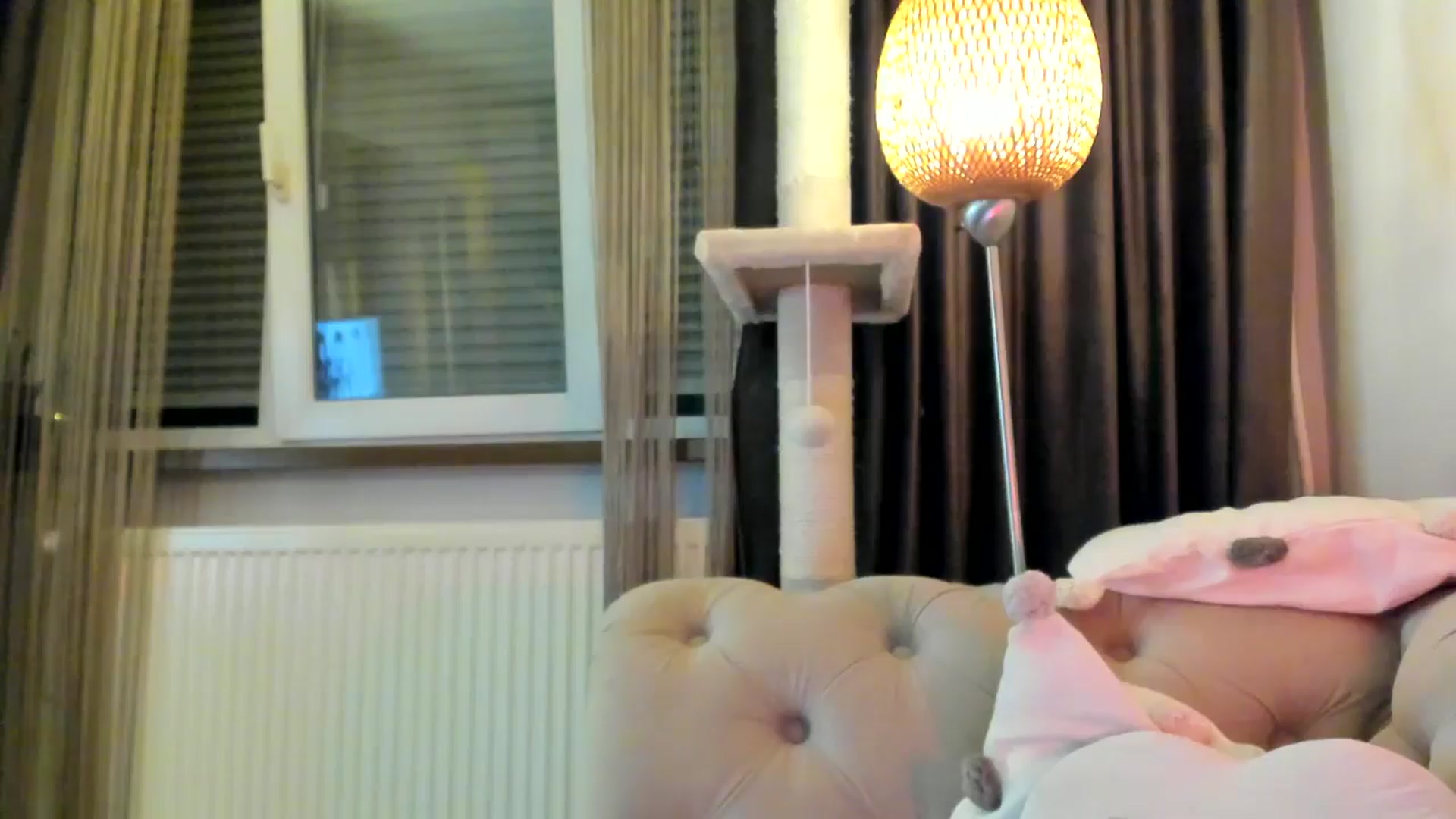 Gallery image thumbnail from SashaLopez's myfreecams stream on, 11/24/2024, 24:00 image 15 of 20