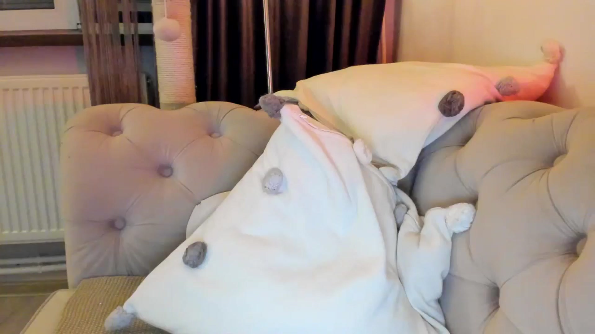 Gallery image thumbnail from SashaLopez's myfreecams stream on, 12/14/2024, 23:23 image 19 of 20
