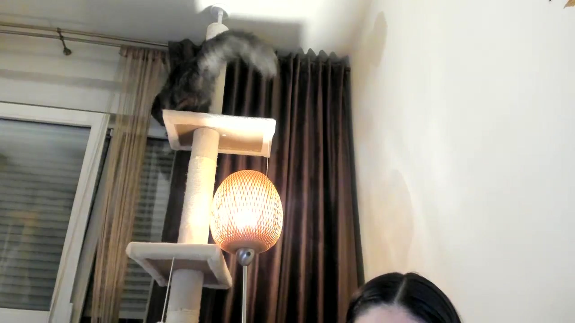 Gallery image thumbnail from SashaLopez's myfreecams stream on, 12/24/2024, 24:06 image 18 of 20