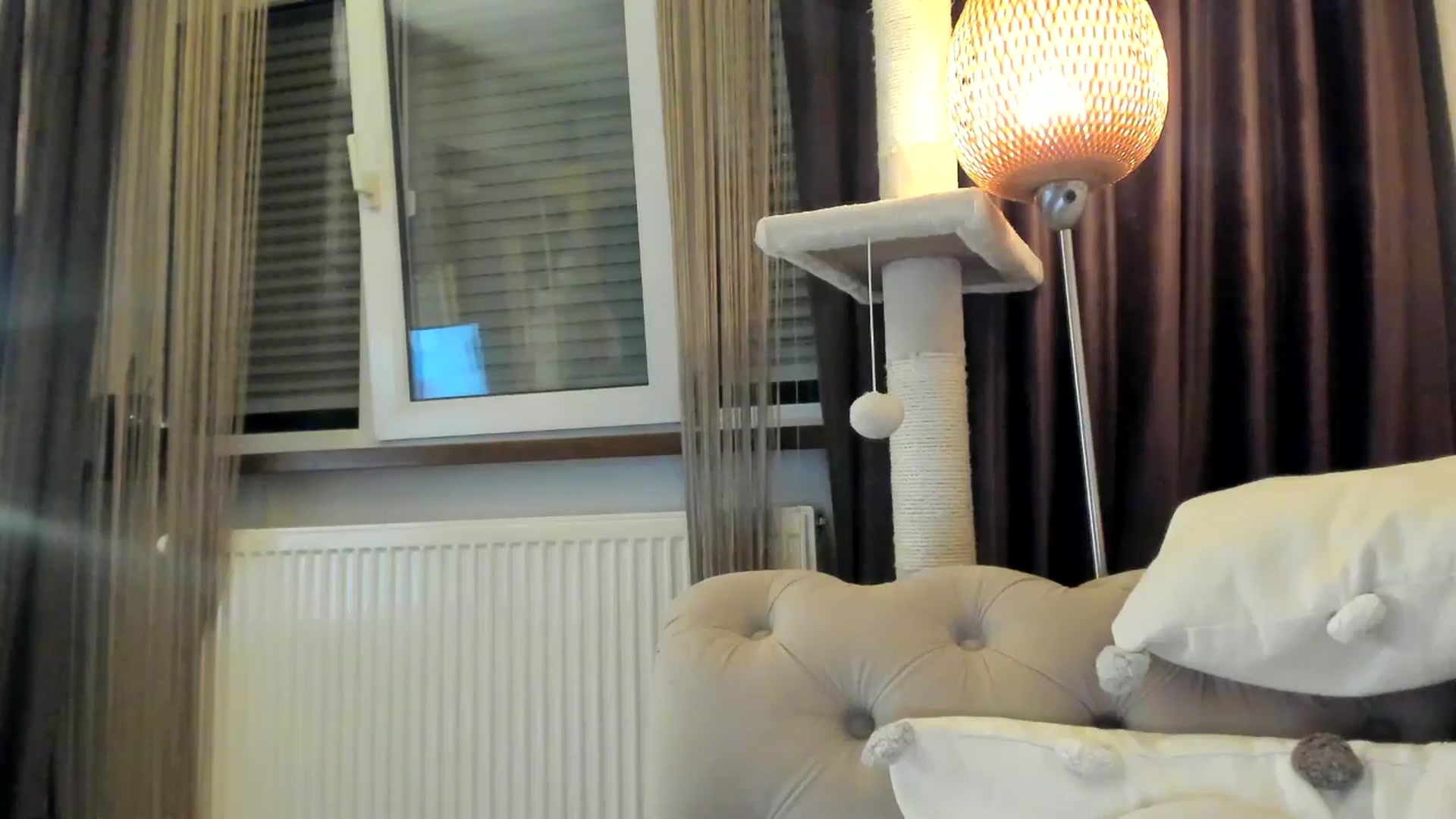 Gallery image thumbnail from SashaLopez's myfreecams stream on, 12/24/2024, 01:12 image 10 of 20