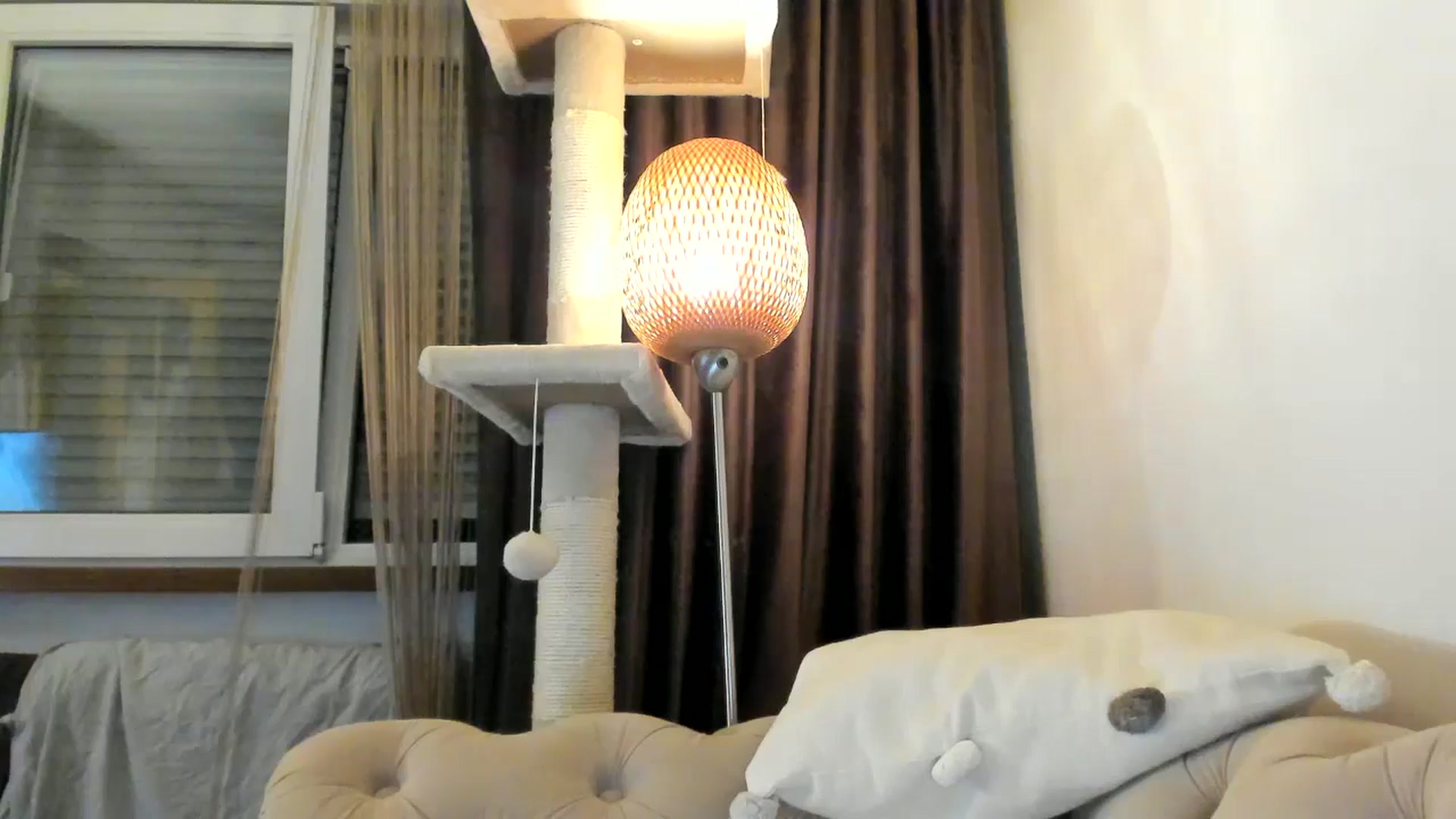 Gallery image thumbnail from SashaLopez's myfreecams stream on, 12/24/2024, 01:12 image 13 of 20