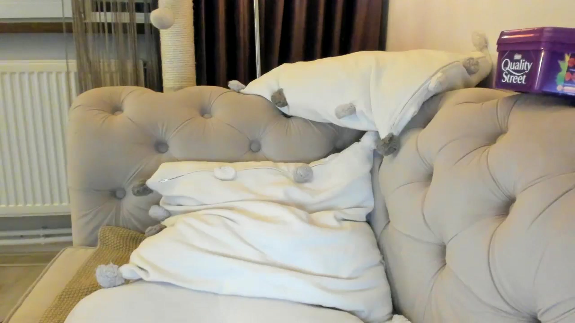 Gallery image thumbnail from SashaLopez's myfreecams stream on, 12/28/2024, 23:29 image 2 of 20