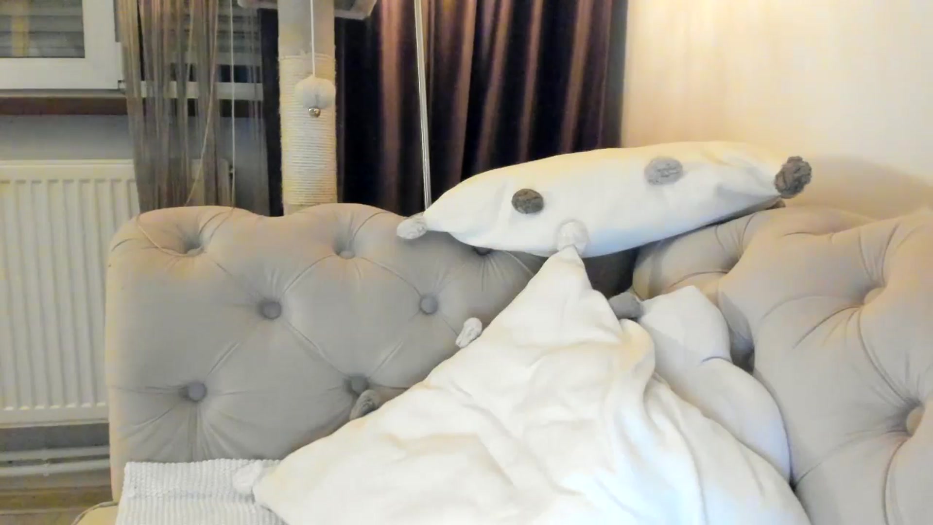Gallery image thumbnail from SashaLopez's myfreecams stream on, 01/08/2025, 22:13 image 19 of 20