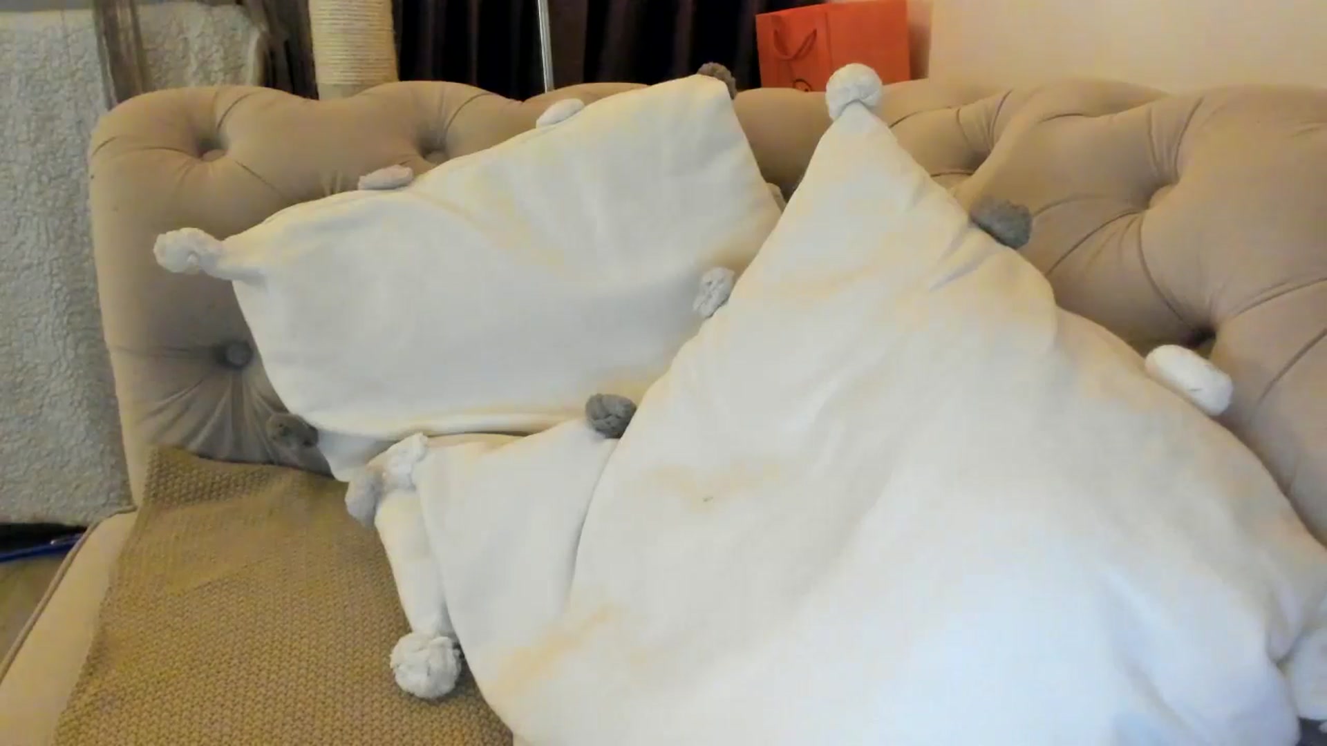 Gallery image thumbnail from SashaLopez's myfreecams stream on, 01/12/2025, 24:25 image 19 of 20