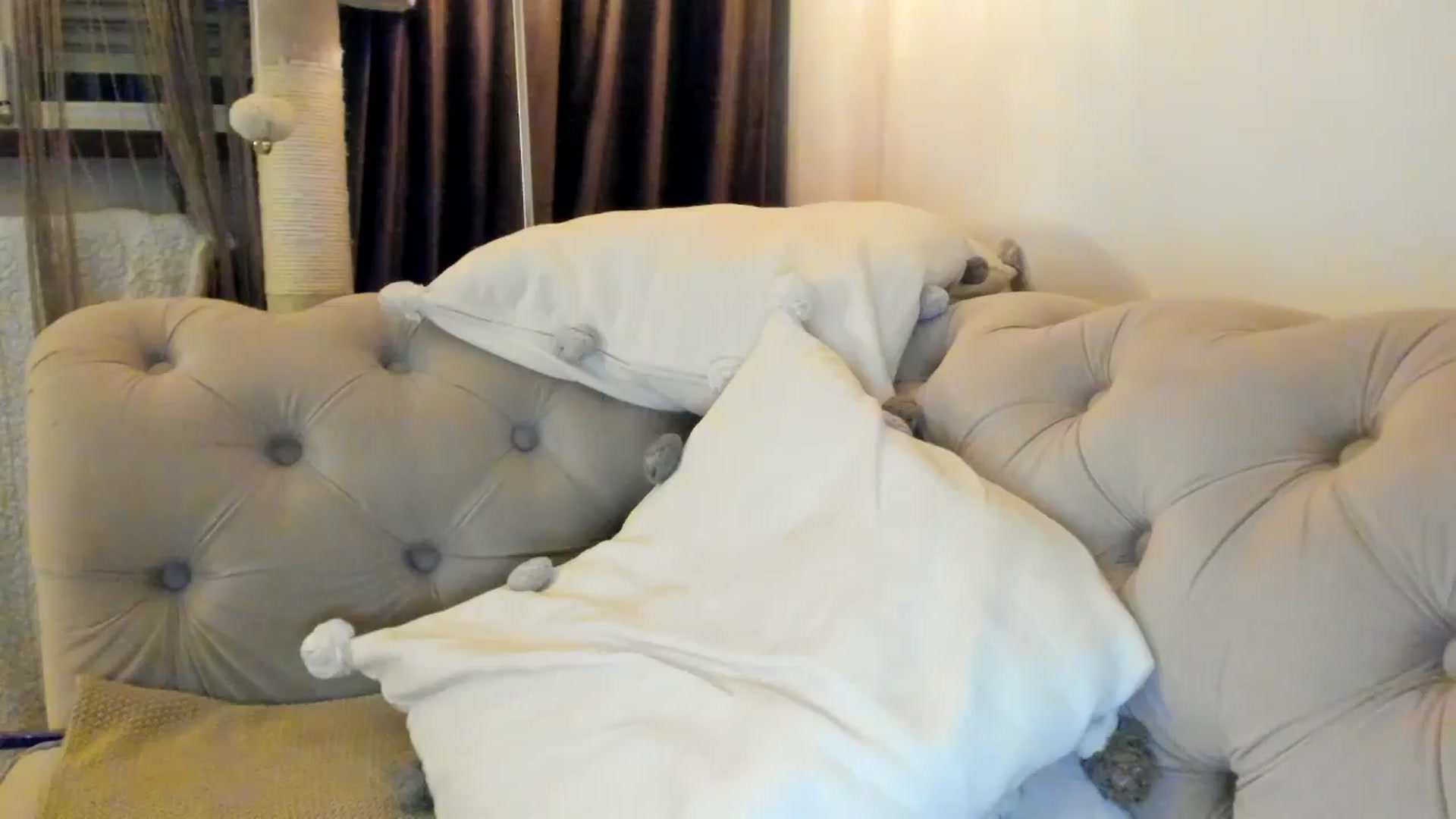 Gallery image thumbnail from SashaLopez's myfreecams stream on, 01/12/2025, 24:25 image 14 of 20