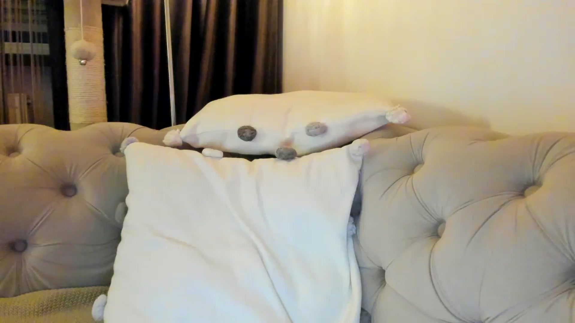 Gallery image thumbnail from SashaLopez's myfreecams stream on, 01/15/2025, 21:53 image 18 of 20
