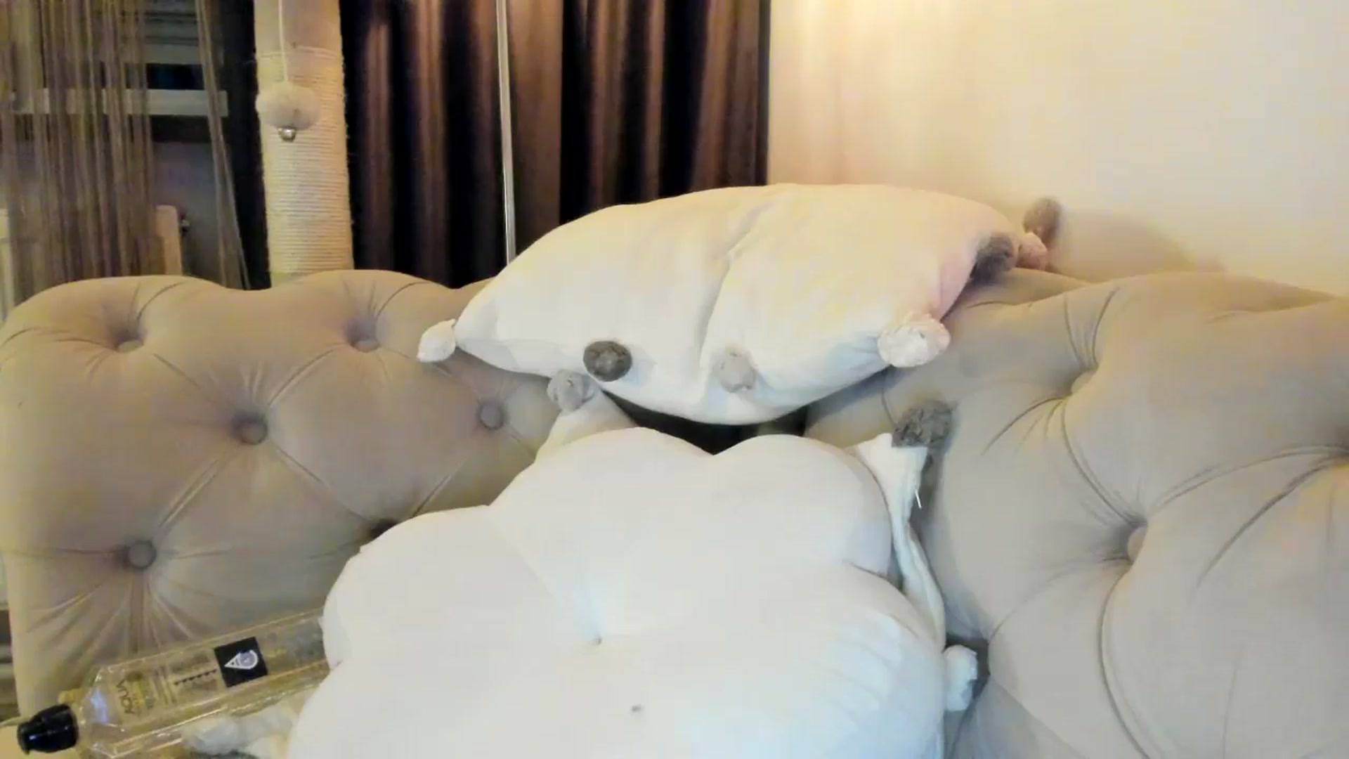 Gallery image thumbnail from SashaLopez's myfreecams stream on, 01/18/2025, 23:42 image 8 of 20