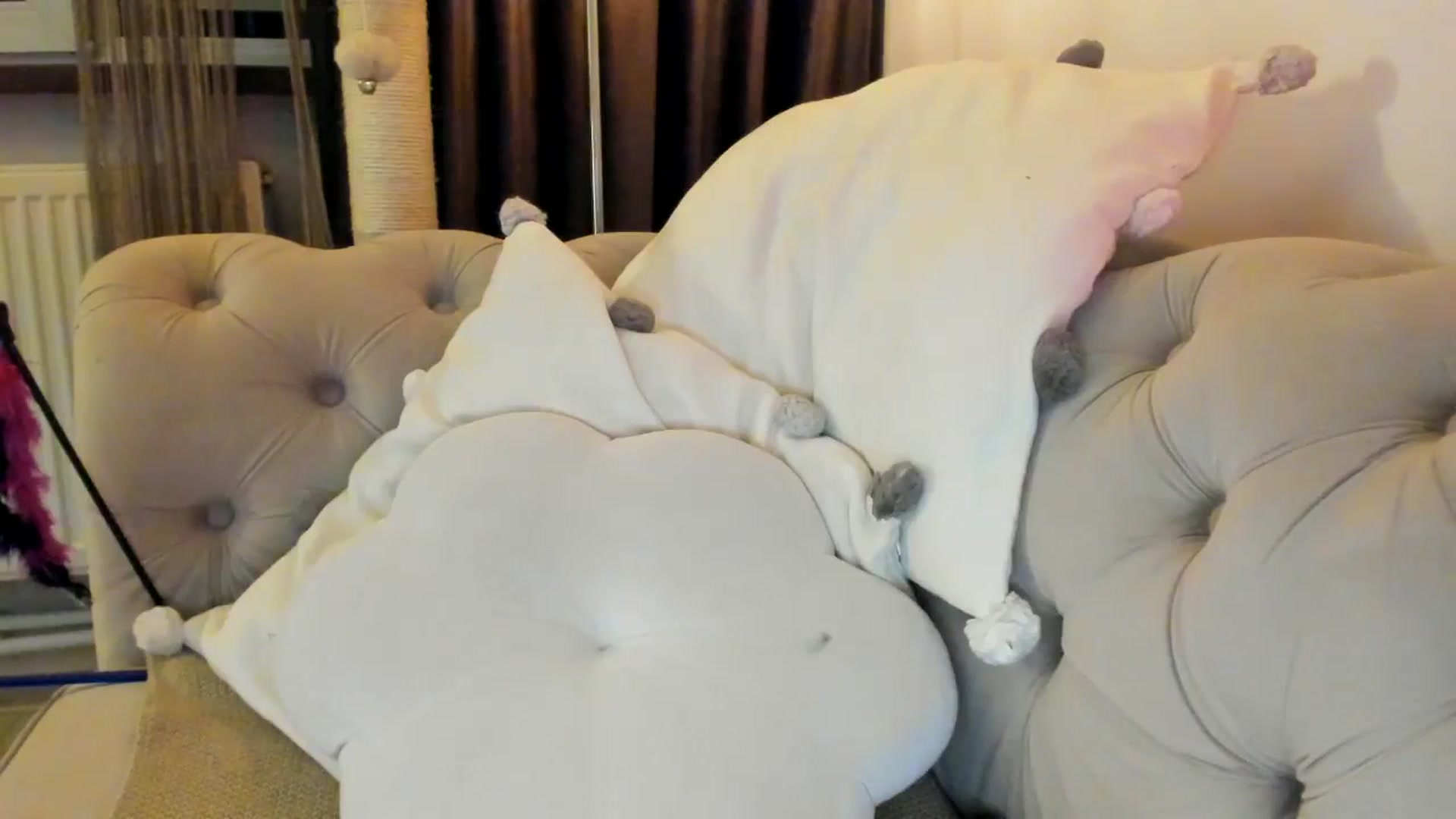 Gallery image thumbnail from SashaLopez's myfreecams stream on, 01/18/2025, 23:42 image 17 of 20