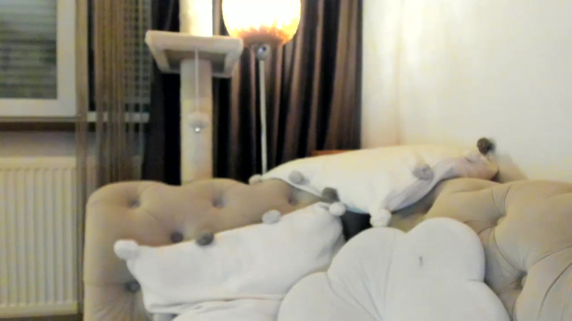Gallery image thumbnail from SashaLopez's myfreecams stream on, 01/23/2025, 22:56 image 18 of 20