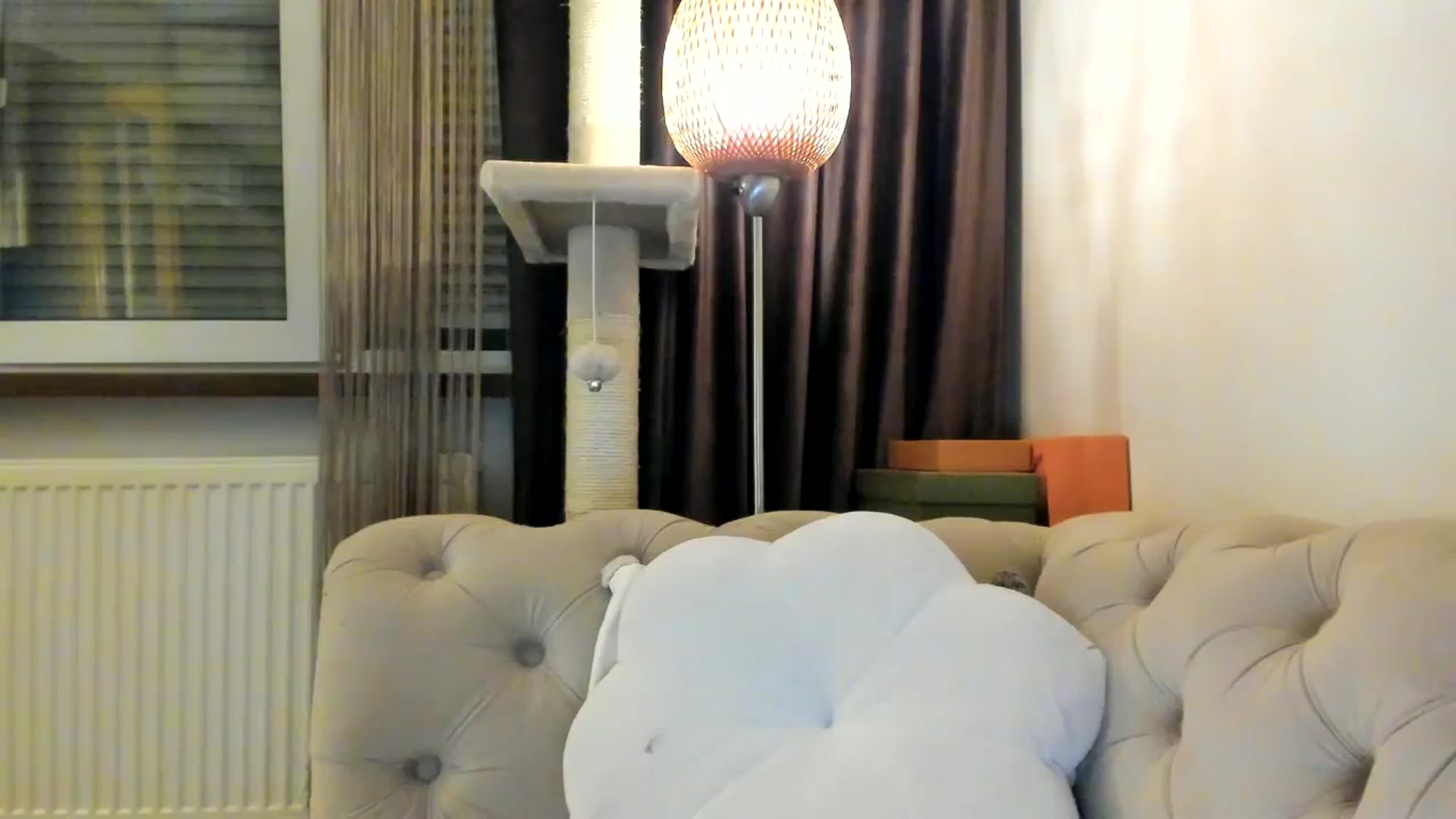 Gallery image thumbnail from SashaLopez's myfreecams stream on, 01/25/2025, 24:06 image 16 of 20
